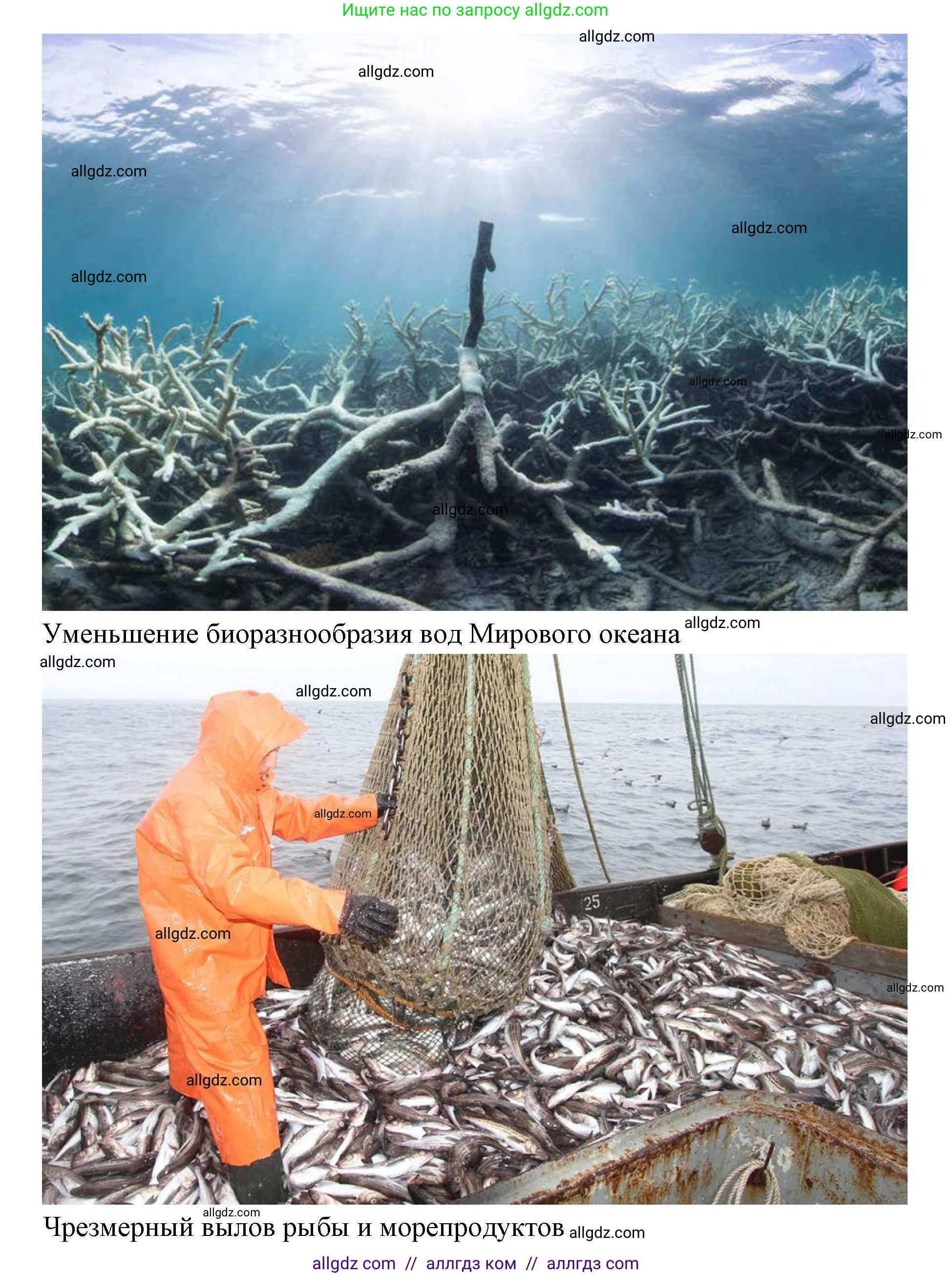 География, 7 класс Учебник, авторы: Алексеев Александр Иванович, Николина Вера Викторовна, Липкина Елена Карловна, Болысов Сергей Иванович, Ачкасова Татьяна Анатольевна, Кузнецова Галина Юрьевна, издательство Просвещение, Москва, 2023, жёлтого цвета, страница 69, номер 4, Решение 2023 (продолжение 3)