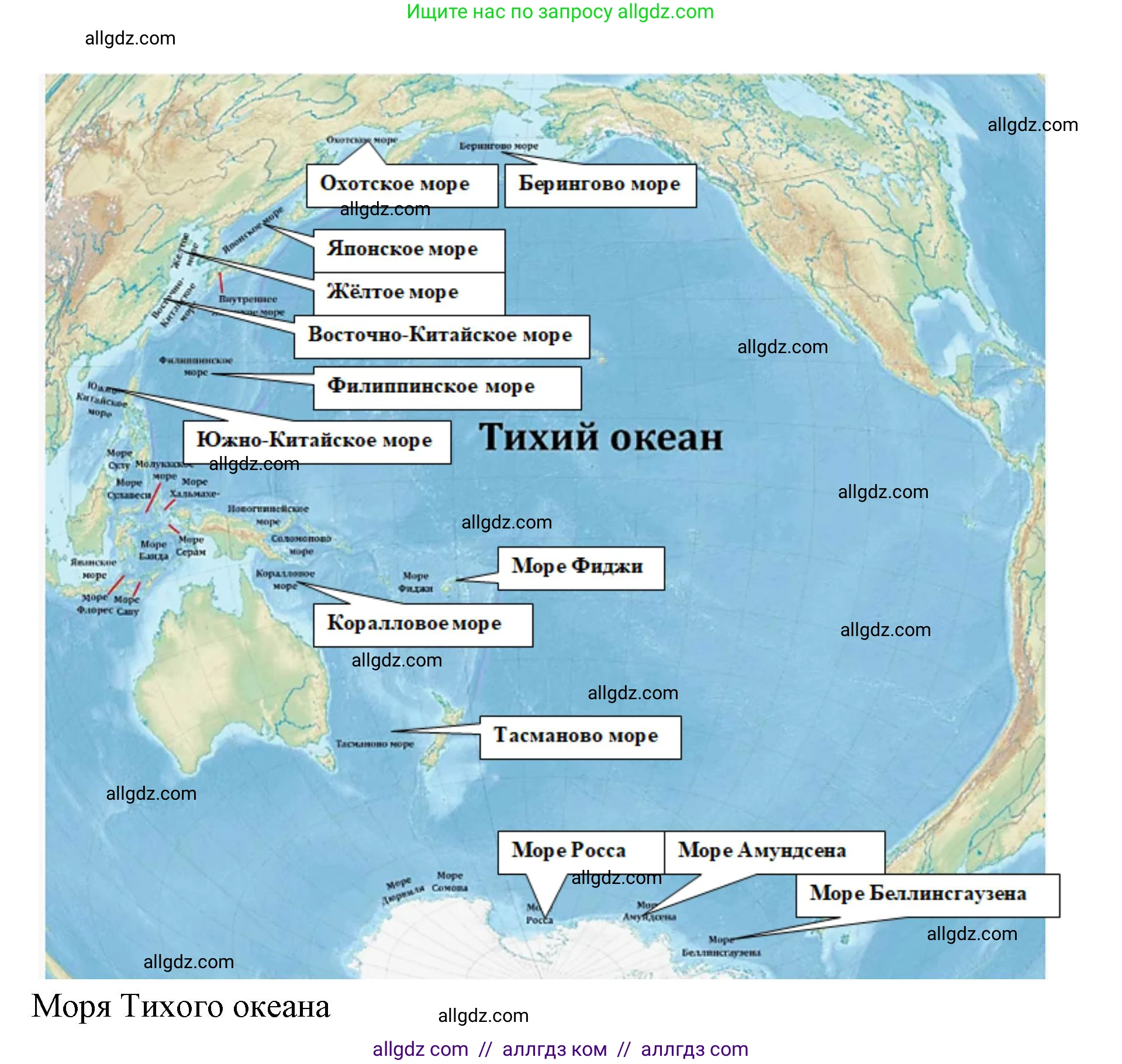 География, 7 класс Учебник, авторы: Алексеев Александр Иванович, Николина Вера Викторовна, Липкина Елена Карловна, Болысов Сергей Иванович, Ачкасова Татьяна Анатольевна, Кузнецова Галина Юрьевна, издательство Просвещение, Москва, 2023, жёлтого цвета, страница 92, номер 1, Решение 2023 (продолжение 3)