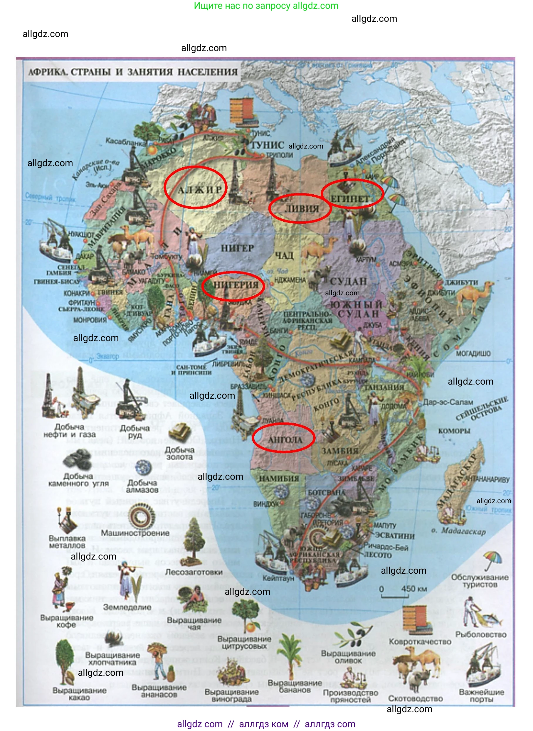 География, 7 класс Учебник, авторы: Алексеев Александр Иванович, Николина Вера Викторовна, Липкина Елена Карловна, Болысов Сергей Иванович, Ачкасова Татьяна Анатольевна, Кузнецова Галина Юрьевна, издательство Просвещение, Москва, 2023, жёлтого цвета, страница 113, номер 8, Решение 2023 (продолжение 2)