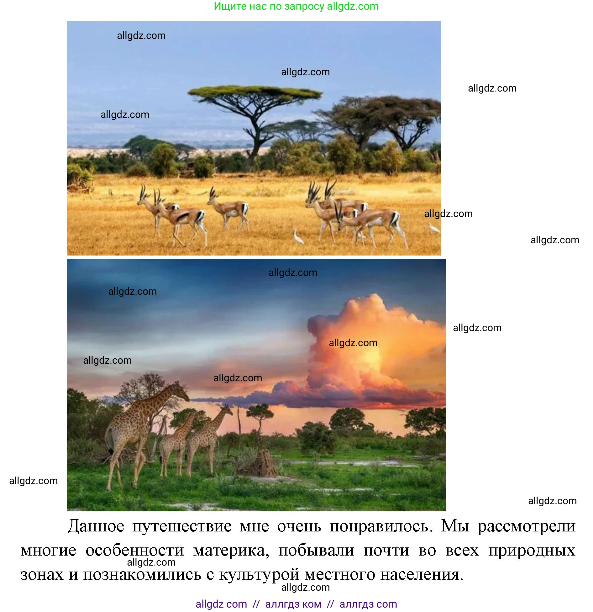 География, 7 класс Учебник, авторы: Алексеев Александр Иванович, Николина Вера Викторовна, Липкина Елена Карловна, Болысов Сергей Иванович, Ачкасова Татьяна Анатольевна, Кузнецова Галина Юрьевна, издательство Просвещение, Москва, 2023, жёлтого цвета, страница 114, Решение 2023 (продолжение 3)