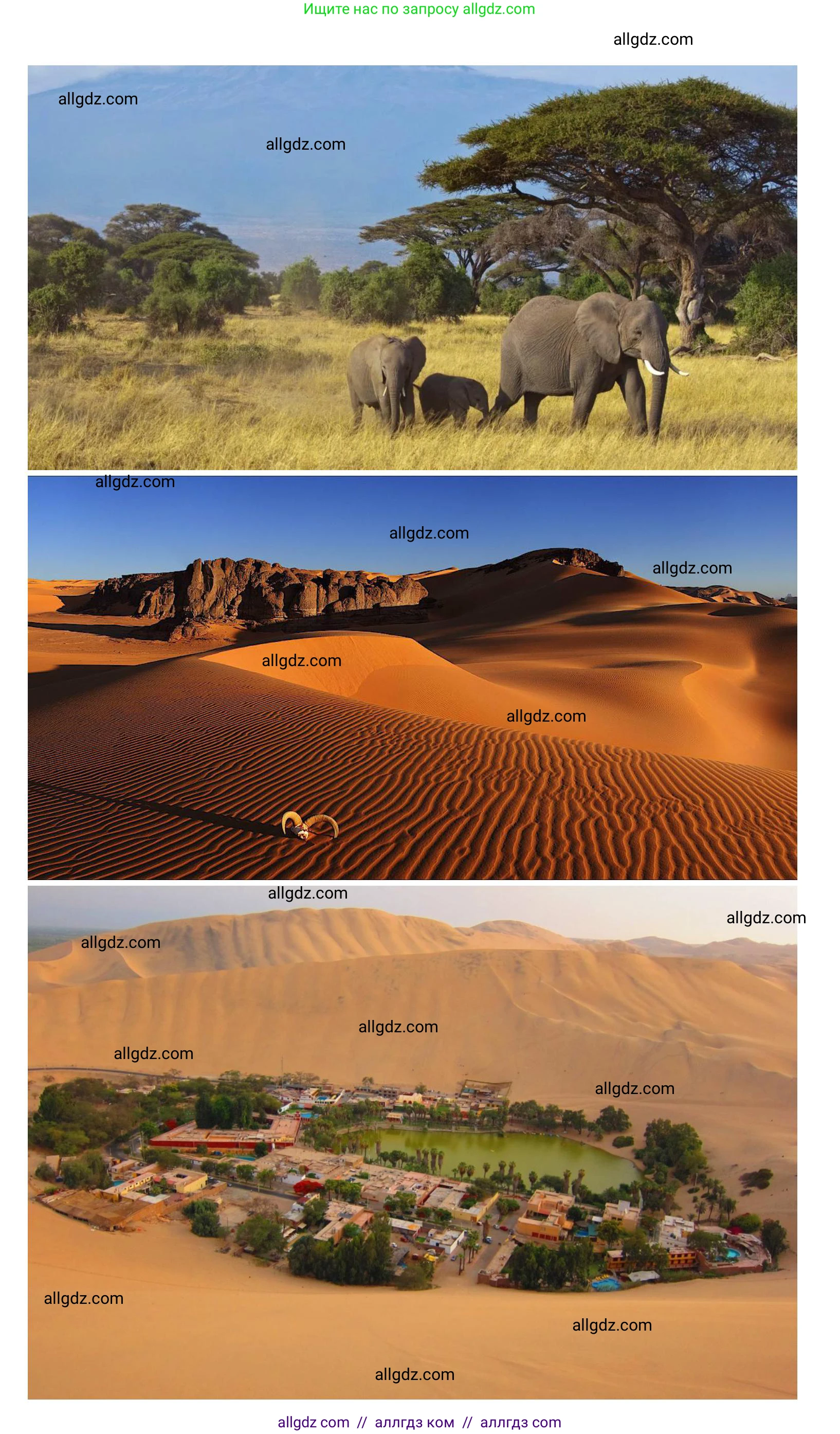 География, 7 класс Учебник, авторы: Алексеев Александр Иванович, Николина Вера Викторовна, Липкина Елена Карловна, Болысов Сергей Иванович, Ачкасова Татьяна Анатольевна, Кузнецова Галина Юрьевна, издательство Просвещение, Москва, 2023, жёлтого цвета, страница 117, номер 4, Решение 2023 (продолжение 3)