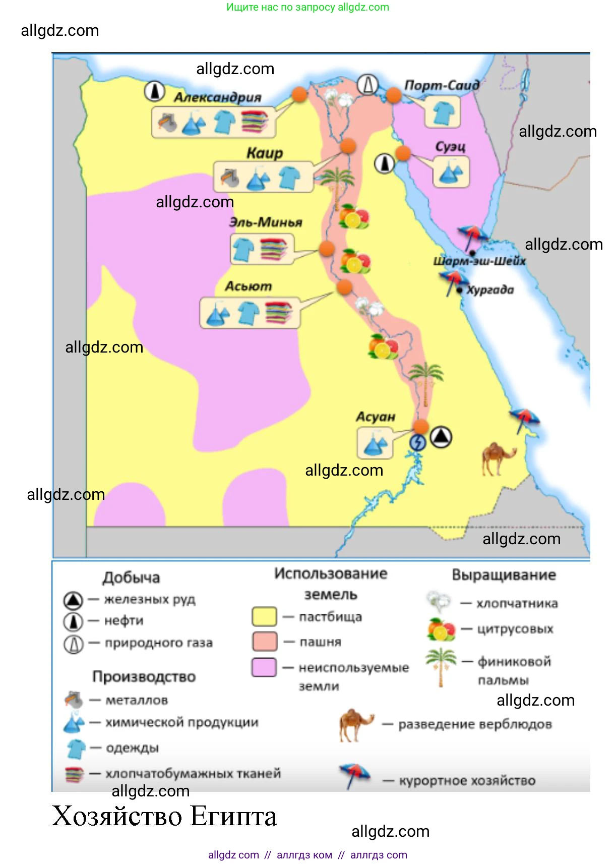 География, 7 класс Учебник, авторы: Алексеев Александр Иванович, Николина Вера Викторовна, Липкина Елена Карловна, Болысов Сергей Иванович, Ачкасова Татьяна Анатольевна, Кузнецова Галина Юрьевна, издательство Просвещение, Москва, 2023, жёлтого цвета, страница 127, номер 8, Решение 2023 (продолжение 2)