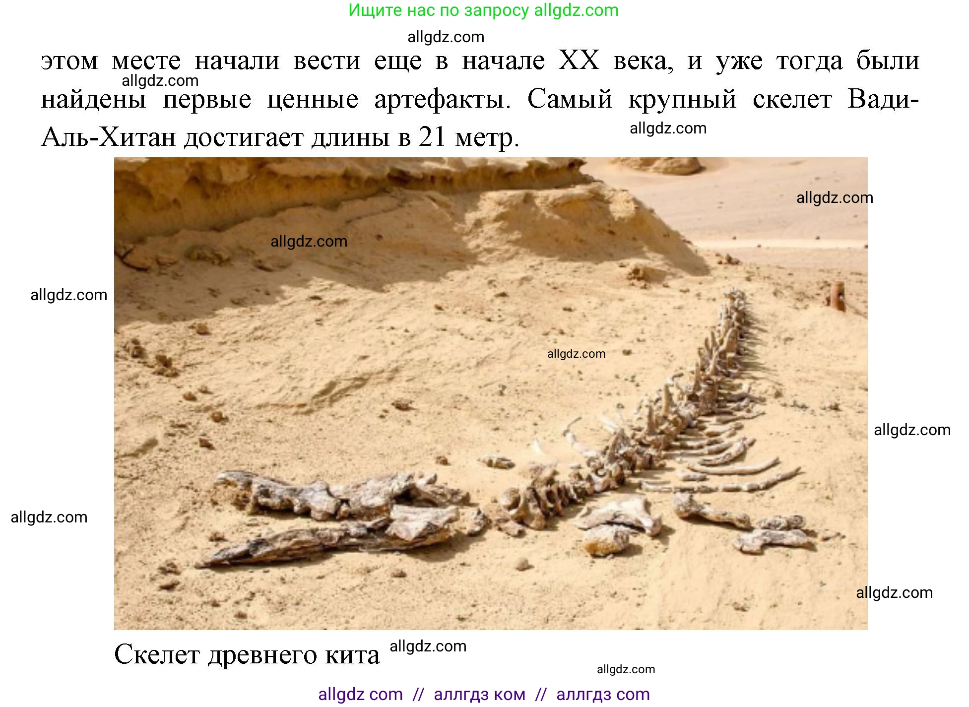 География, 7 класс Учебник, авторы: Алексеев Александр Иванович, Николина Вера Викторовна, Липкина Елена Карловна, Болысов Сергей Иванович, Ачкасова Татьяна Анатольевна, Кузнецова Галина Юрьевна, издательство Просвещение, Москва, 2023, жёлтого цвета, страница 127, номер 9, Решение 2023 (продолжение 4)