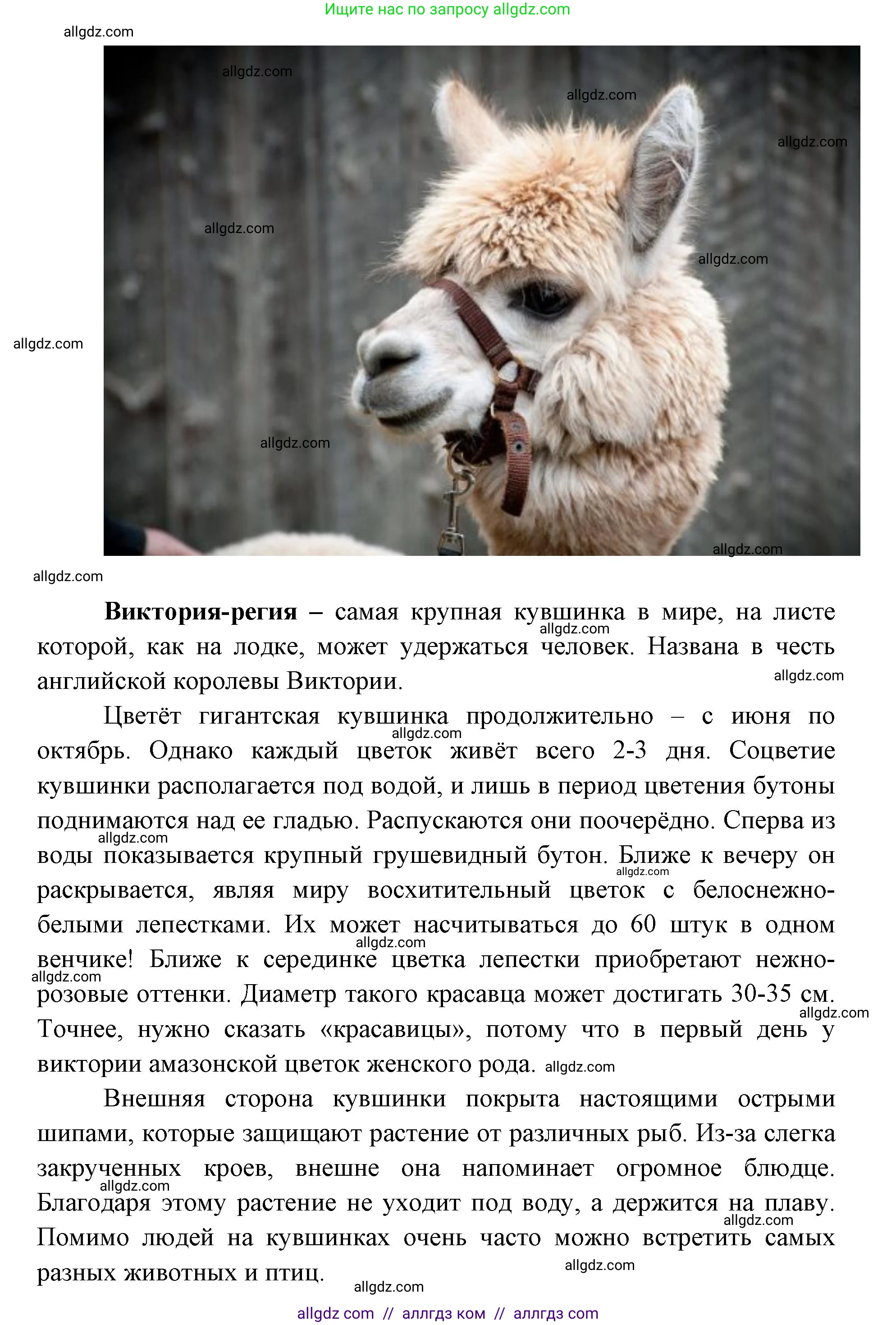 География, 7 класс Учебник, авторы: Алексеев Александр Иванович, Николина Вера Викторовна, Липкина Елена Карловна, Болысов Сергей Иванович, Ачкасова Татьяна Анатольевна, Кузнецова Галина Юрьевна, издательство Просвещение, Москва, 2023, жёлтого цвета, страница 157, номер 3, Решение 2023 (продолжение 3)