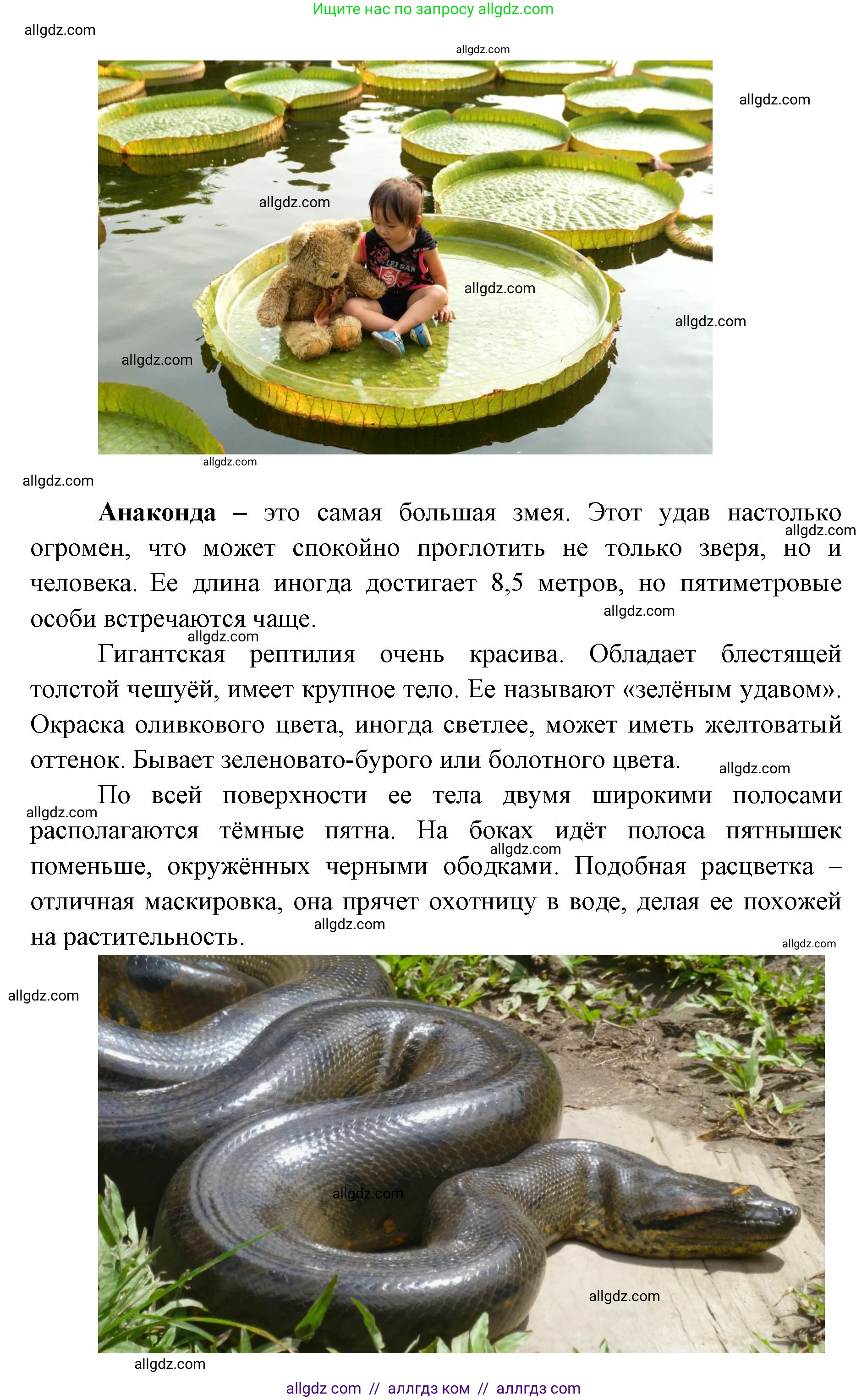 География, 7 класс Учебник, авторы: Алексеев Александр Иванович, Николина Вера Викторовна, Липкина Елена Карловна, Болысов Сергей Иванович, Ачкасова Татьяна Анатольевна, Кузнецова Галина Юрьевна, издательство Просвещение, Москва, 2023, жёлтого цвета, страница 157, номер 3, Решение 2023 (продолжение 4)