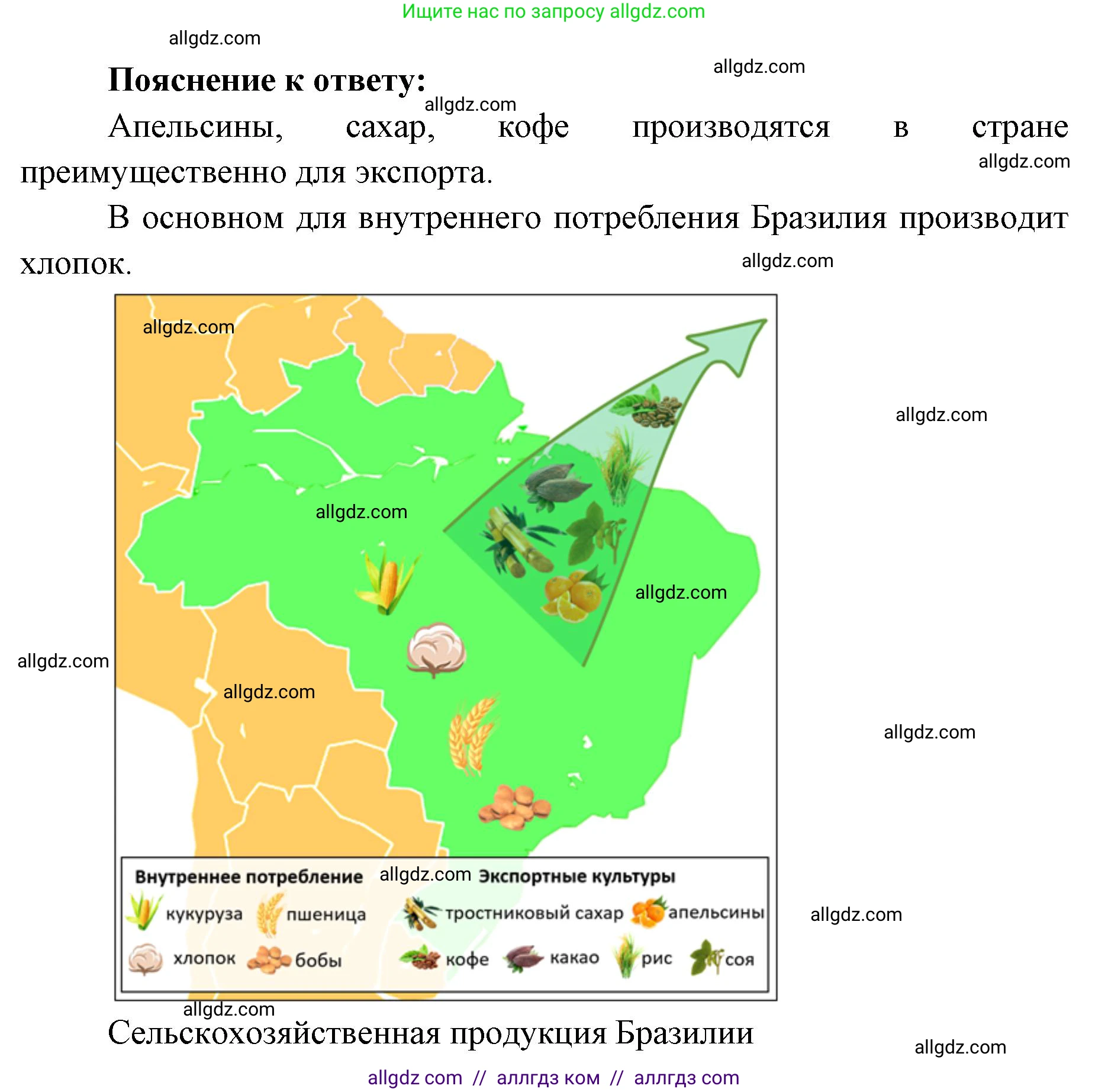 География, 7 класс Учебник, авторы: Алексеев Александр Иванович, Николина Вера Викторовна, Липкина Елена Карловна, Болысов Сергей Иванович, Ачкасова Татьяна Анатольевна, Кузнецова Галина Юрьевна, издательство Просвещение, Москва, 2023, жёлтого цвета, страница 167, номер 5, Решение 2023 (продолжение 2)