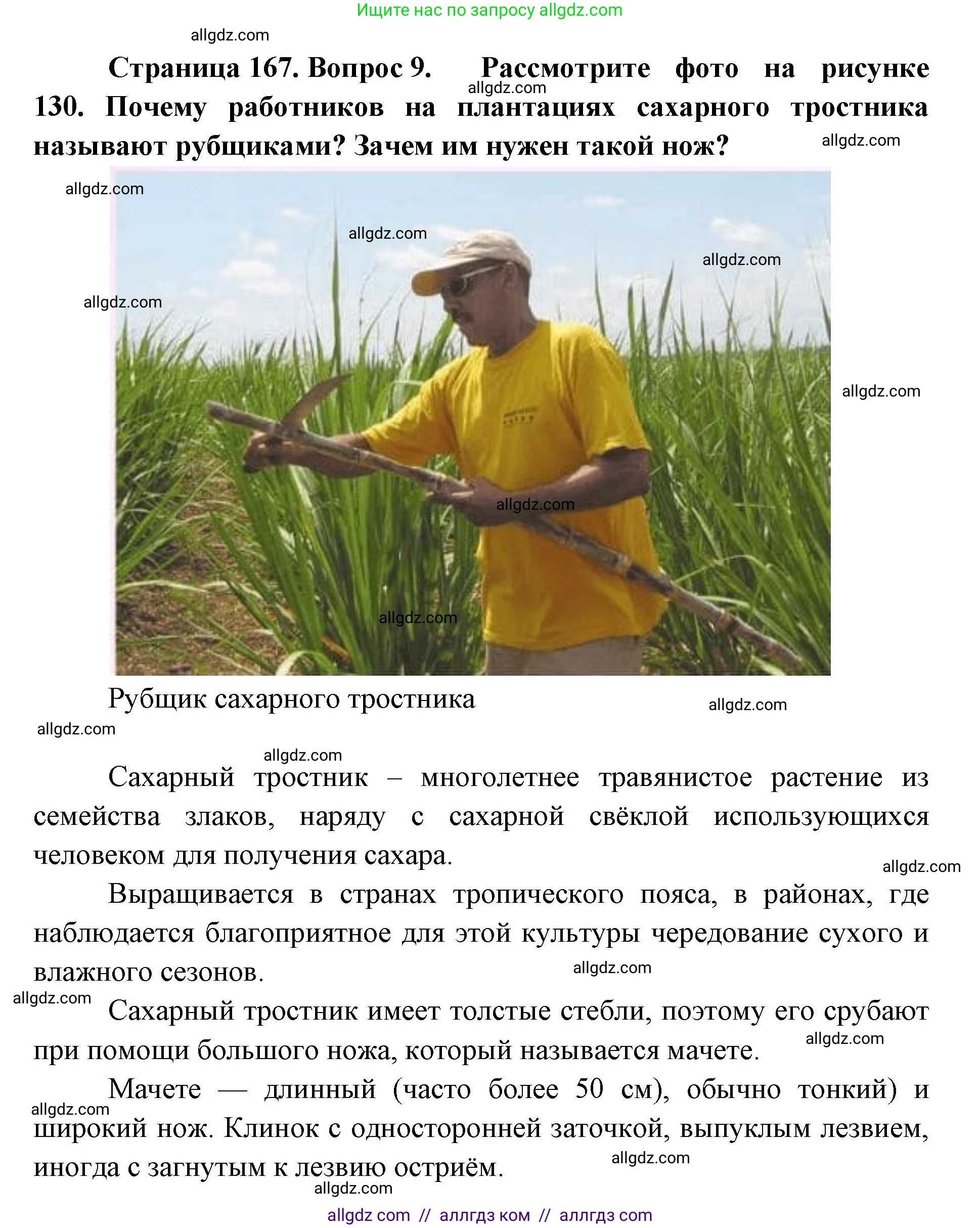 География, 7 класс Учебник, авторы: Алексеев Александр Иванович, Николина Вера Викторовна, Липкина Елена Карловна, Болысов Сергей Иванович, Ачкасова Татьяна Анатольевна, Кузнецова Галина Юрьевна, издательство Просвещение, Москва, 2023, жёлтого цвета, страница 167, номер 9, Решение 2023