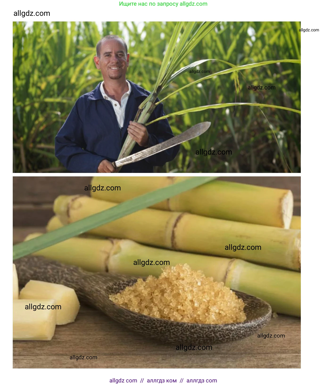 География, 7 класс Учебник, авторы: Алексеев Александр Иванович, Николина Вера Викторовна, Липкина Елена Карловна, Болысов Сергей Иванович, Ачкасова Татьяна Анатольевна, Кузнецова Галина Юрьевна, издательство Просвещение, Москва, 2023, жёлтого цвета, страница 167, номер 9, Решение 2023 (продолжение 2)