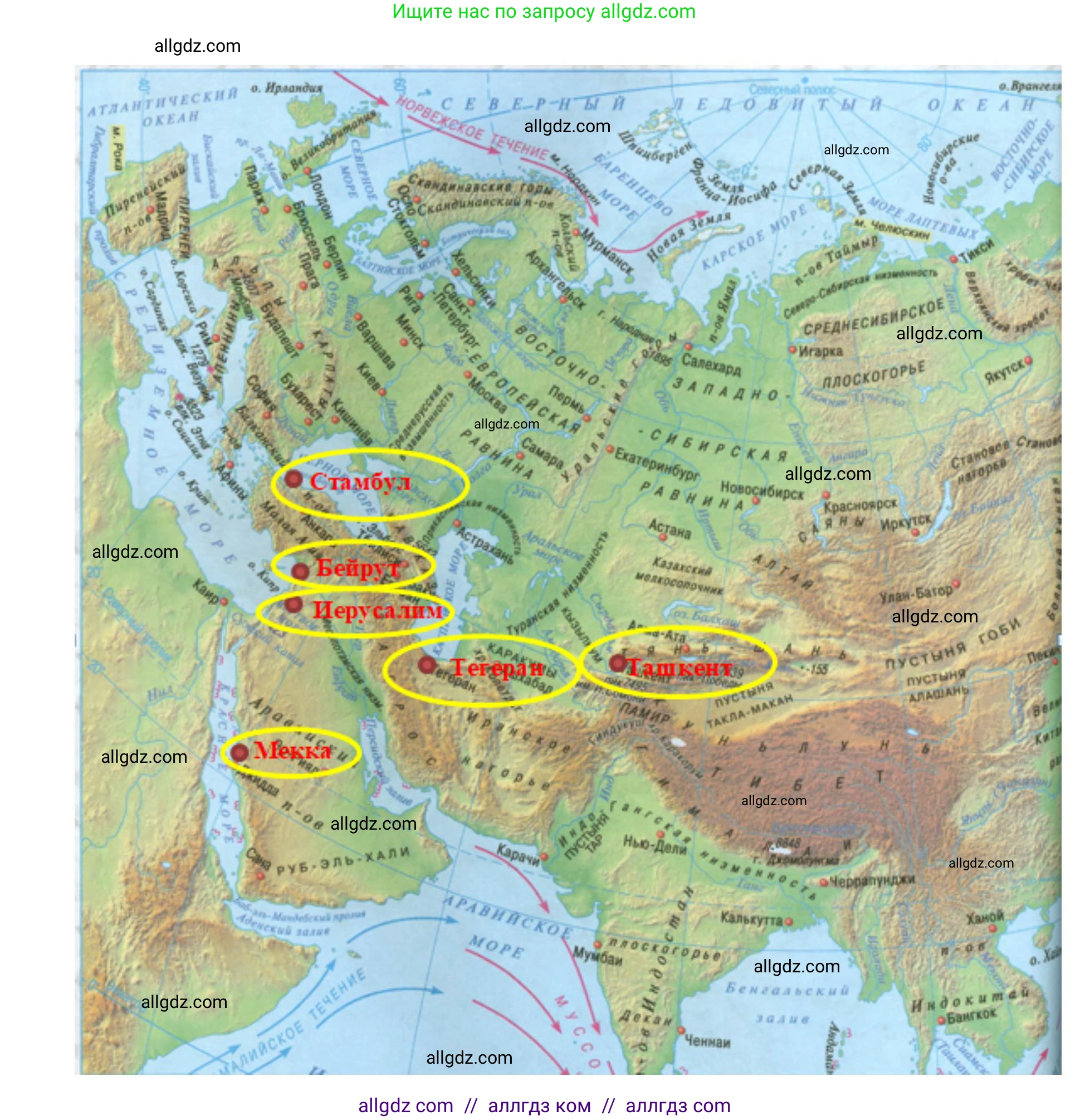 География, 7 класс Учебник, авторы: Алексеев Александр Иванович, Николина Вера Викторовна, Липкина Елена Карловна, Болысов Сергей Иванович, Ачкасова Татьяна Анатольевна, Кузнецова Галина Юрьевна, издательство Просвещение, Москва, 2023, жёлтого цвета, страница 225, номер 1, Решение 2023 (продолжение 2)