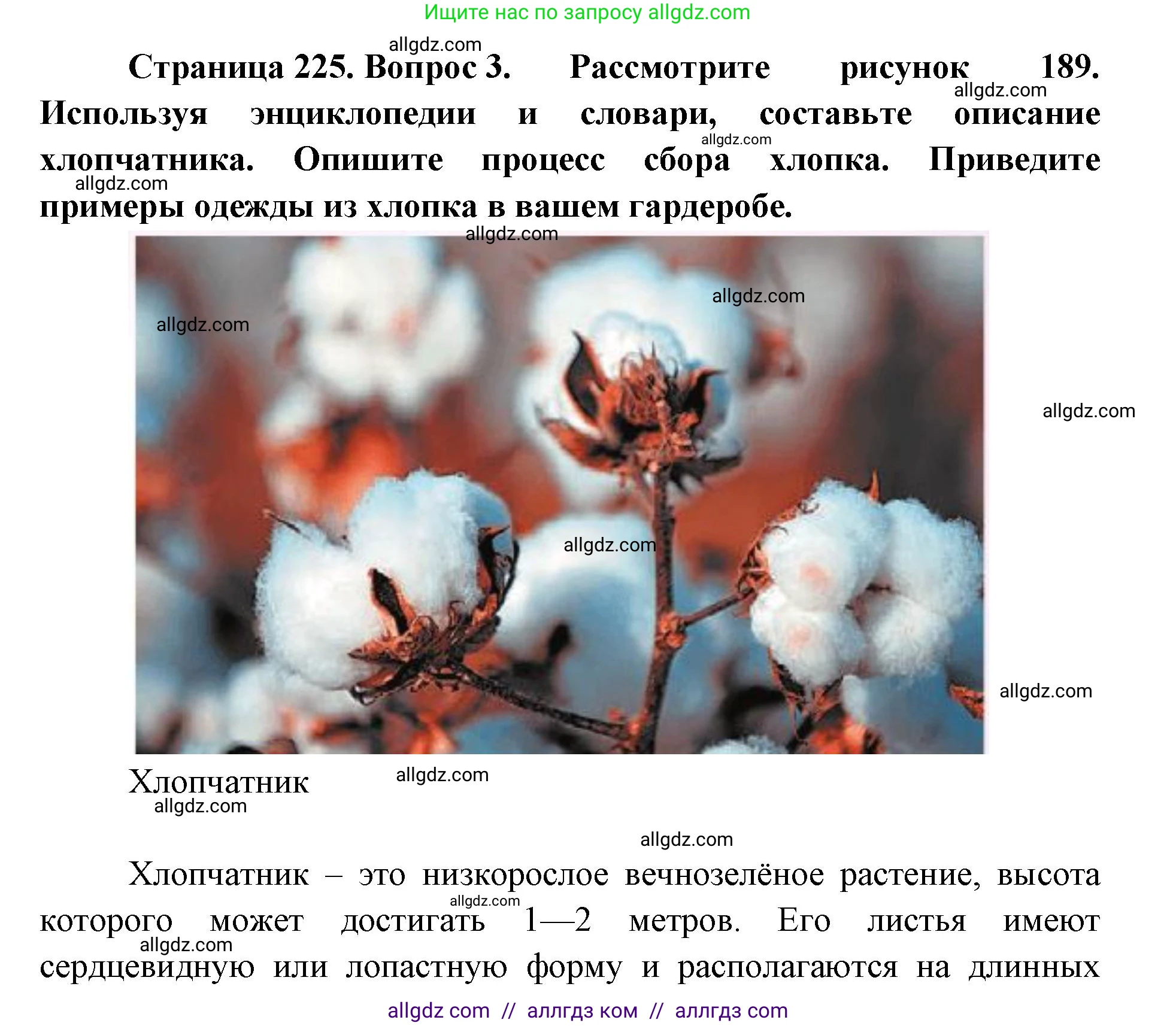 География, 7 класс Учебник, авторы: Алексеев Александр Иванович, Николина Вера Викторовна, Липкина Елена Карловна, Болысов Сергей Иванович, Ачкасова Татьяна Анатольевна, Кузнецова Галина Юрьевна, издательство Просвещение, Москва, 2023, жёлтого цвета, страница 225, номер 3, Решение 2023