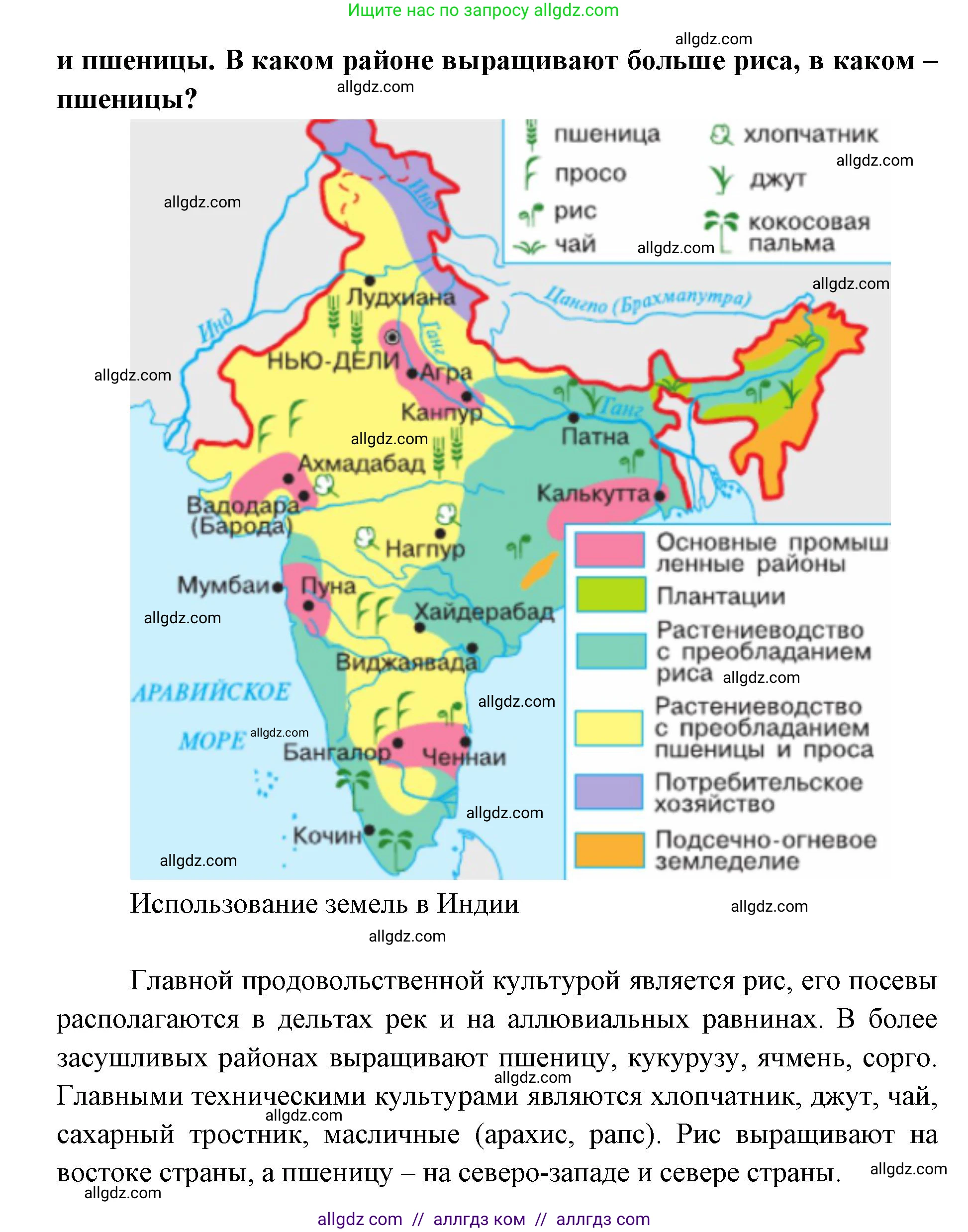 География, 7 класс Учебник, авторы: Алексеев Александр Иванович, Николина Вера Викторовна, Липкина Елена Карловна, Болысов Сергей Иванович, Ачкасова Татьяна Анатольевна, Кузнецова Галина Юрьевна, издательство Просвещение, Москва, 2023, жёлтого цвета, страница 239, номер 6, Решение 2023 (продолжение 2)