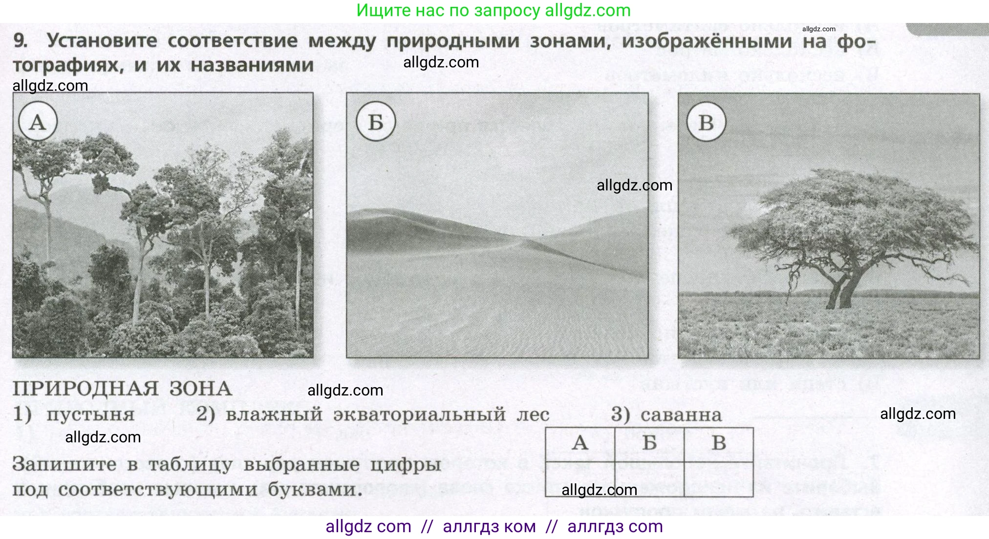 География, 7 класс Проверочные работы, авторы: Бондарева Мария Владимировна, Шидловский Игорь Михайлович, издательство Просвещение, Москва, 2023, жёлтого цвета, страница 21, номер 9, Условие