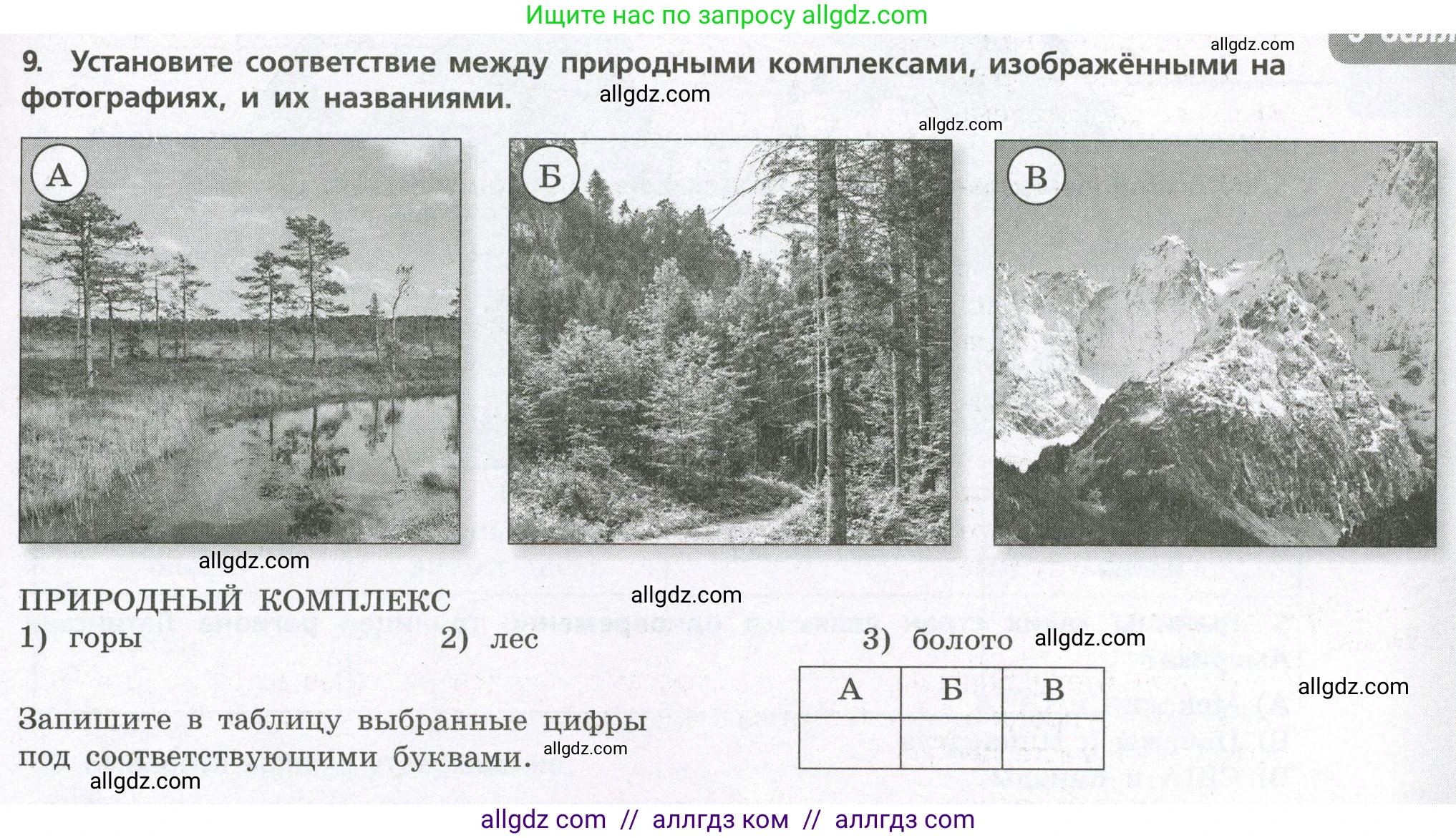 География, 7 класс Проверочные работы, авторы: Бондарева Мария Владимировна, Шидловский Игорь Михайлович, издательство Просвещение, Москва, 2023, жёлтого цвета, страница 23, номер 9, Условие