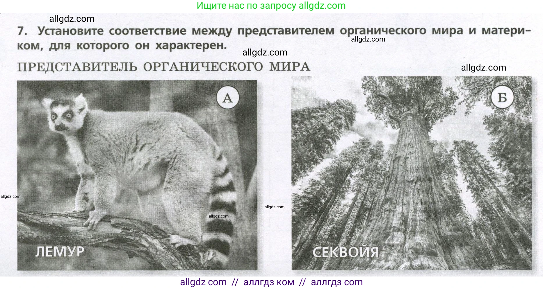 География, 7 класс Проверочные работы, авторы: Бондарева Мария Владимировна, Шидловский Игорь Михайлович, издательство Просвещение, Москва, 2023, жёлтого цвета, страница 42, номер 7, Условие