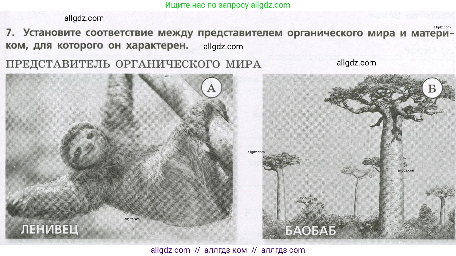 География, 7 класс Проверочные работы, авторы: Бондарева Мария Владимировна, Шидловский Игорь Михайлович, издательство Просвещение, Москва, 2023, жёлтого цвета, страница 45, номер 7, Условие
