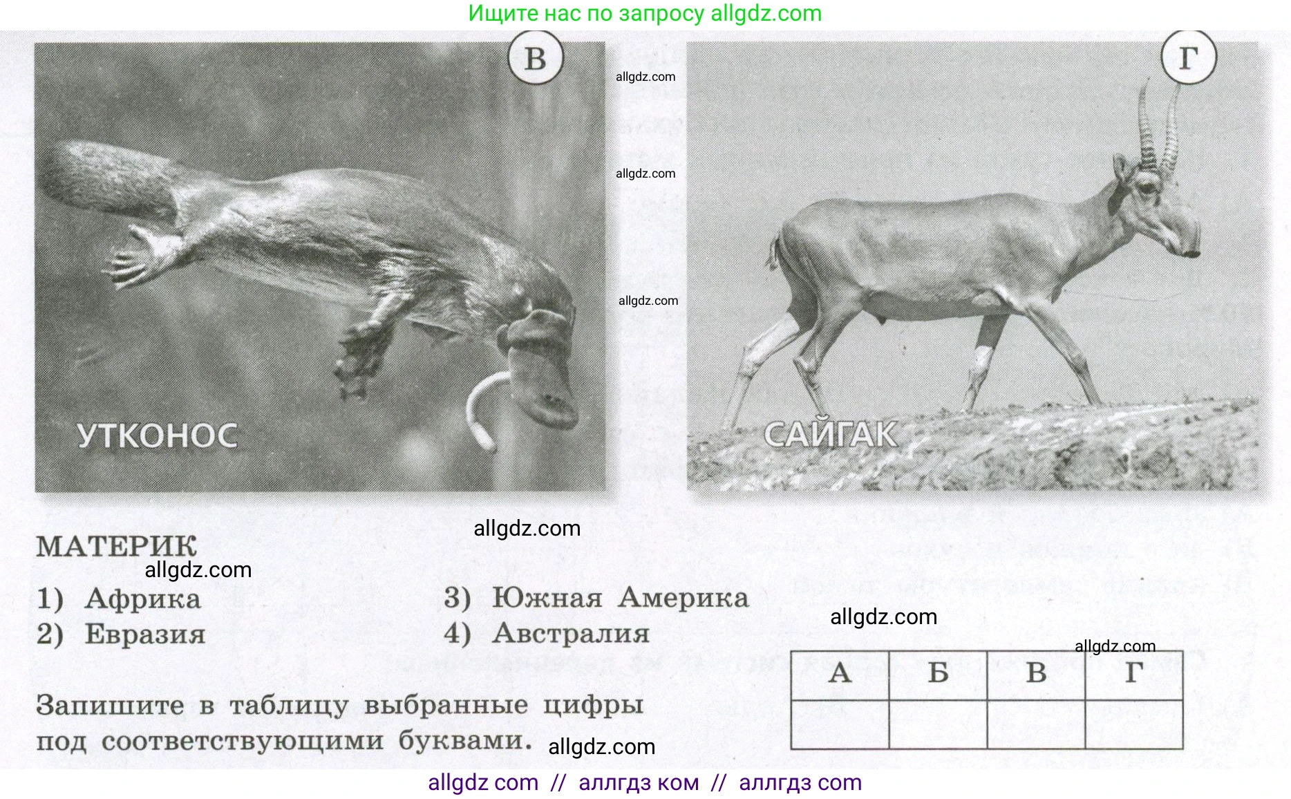 География, 7 класс Проверочные работы, авторы: Бондарева Мария Владимировна, Шидловский Игорь Михайлович, издательство Просвещение, Москва, 2023, жёлтого цвета, страница 45, номер 7, Условие (продолжение 2)