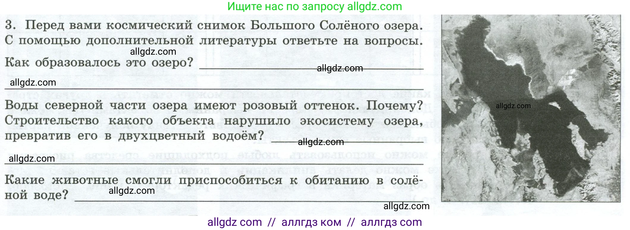 География, 7 класс Практические работы, автор: Дубинина Софья Петровна, издательство Просвещение, Москва, 2023, жёлтого цвета, страница 41, номер 3, Условие