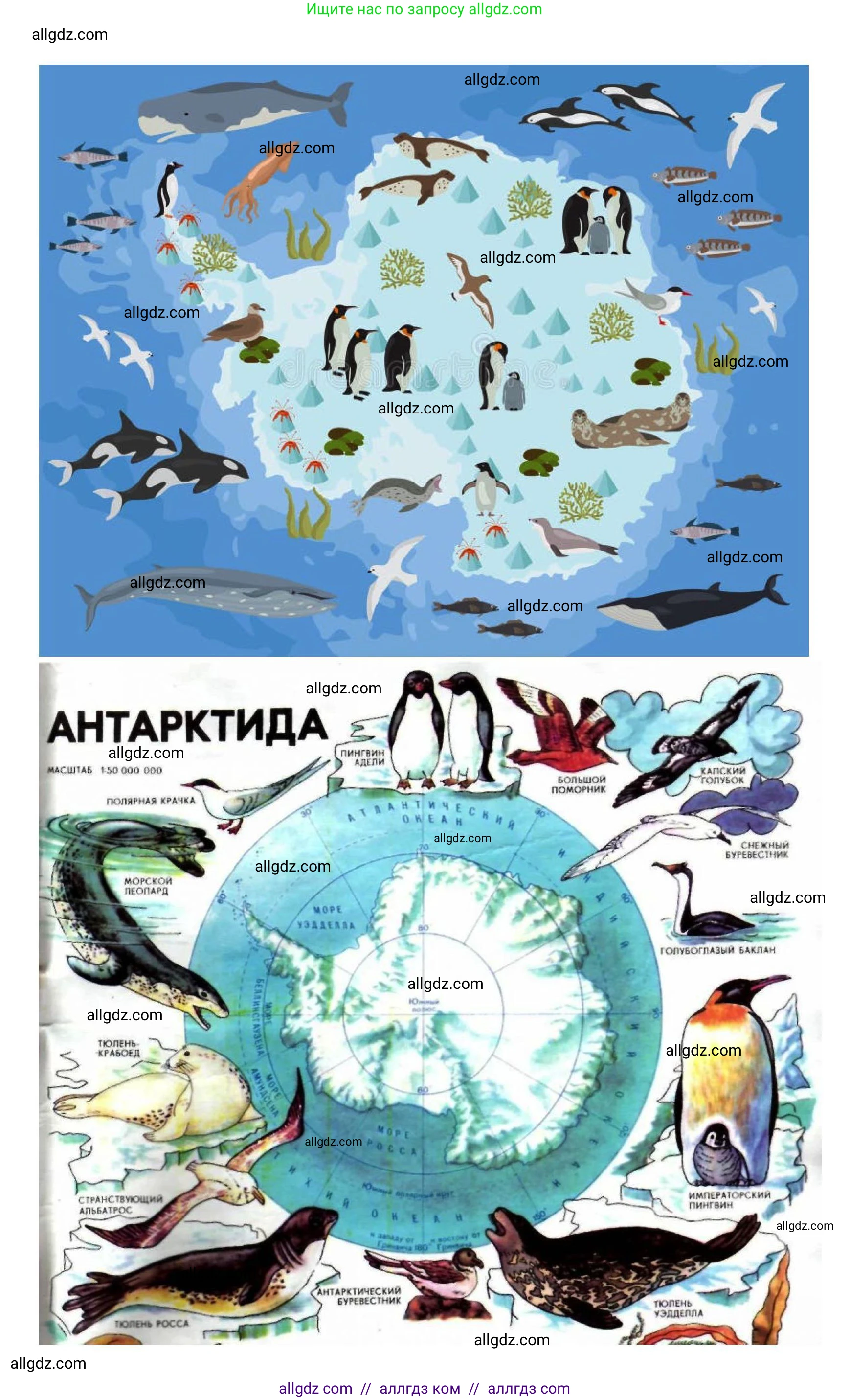 География, 7 класс Практические работы, автор: Дубинина Софья Петровна, издательство Просвещение, Москва, 2023, жёлтого цвета, страница 30, номер 3, Решение (продолжение 2)