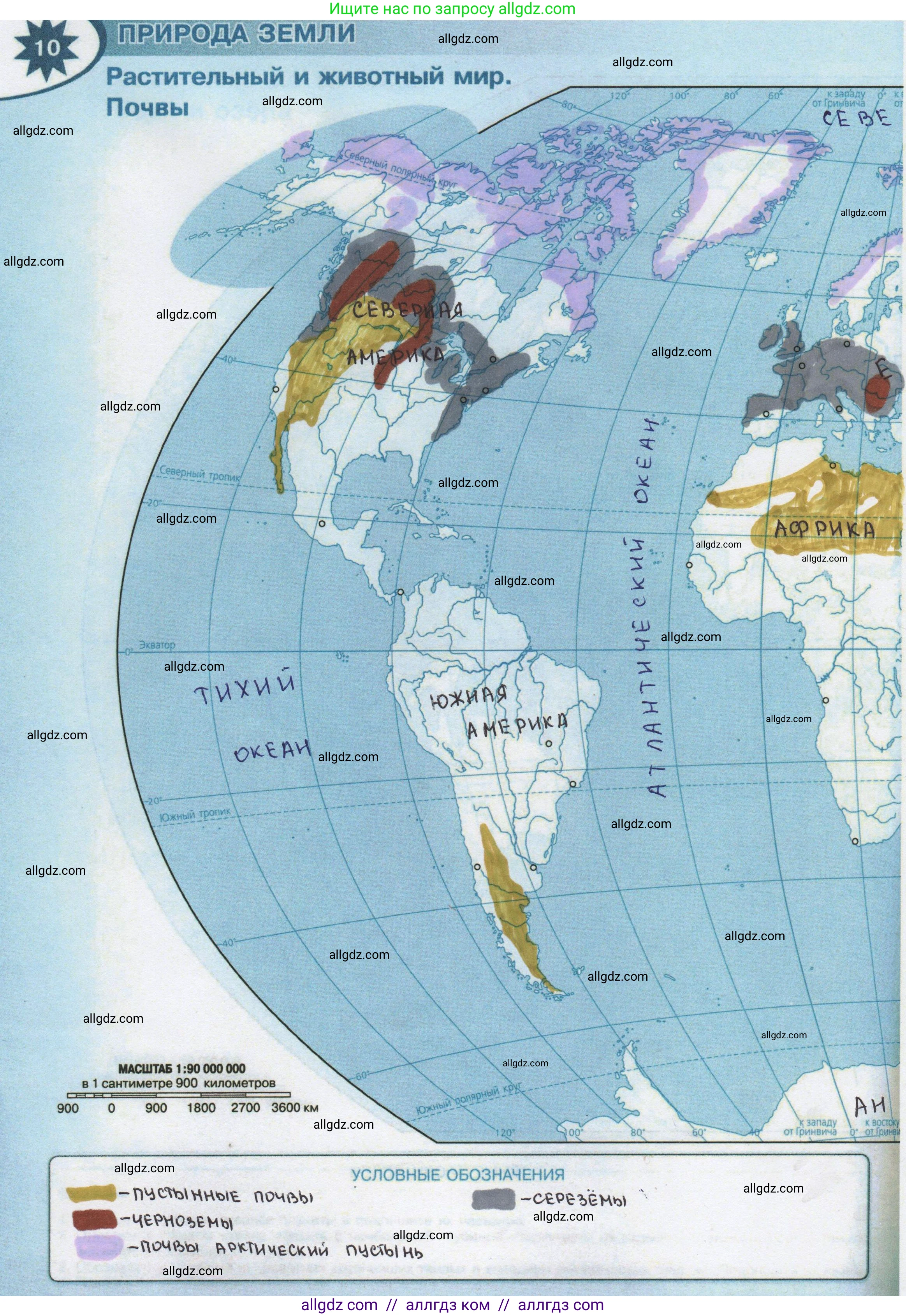 География, 7 класс Контурные карты, автор: Матвеев Алексей Владимирович, издательство Просвещение, Москва, 2023, жёлтого цвета, страница 10, Решение