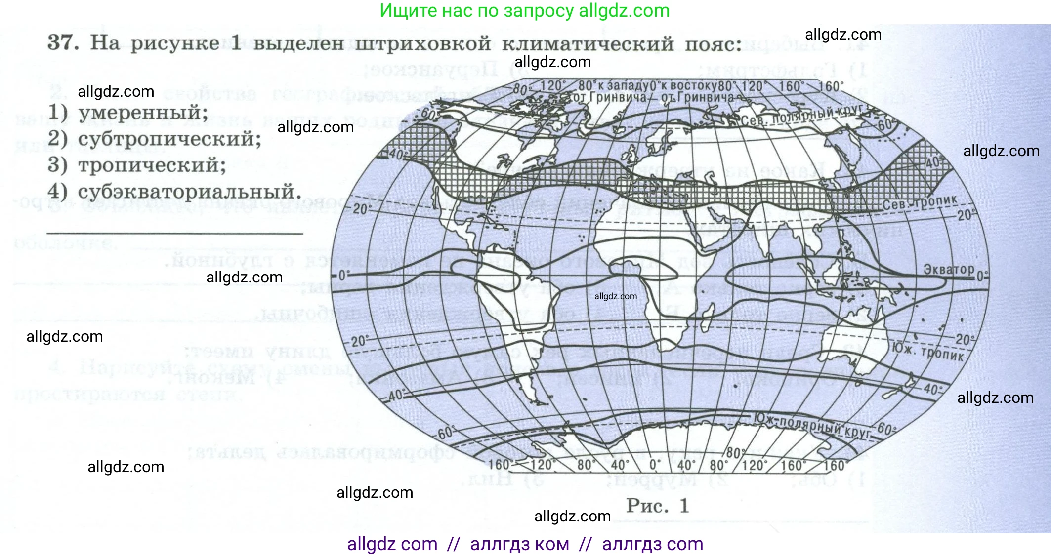 География, 7 класс Мой тренажёр, автор: Николина Вера Викторовна, издательство Просвещение, Москва, 2023, жёлтого цвета, страница 19, номер 37, Условие
