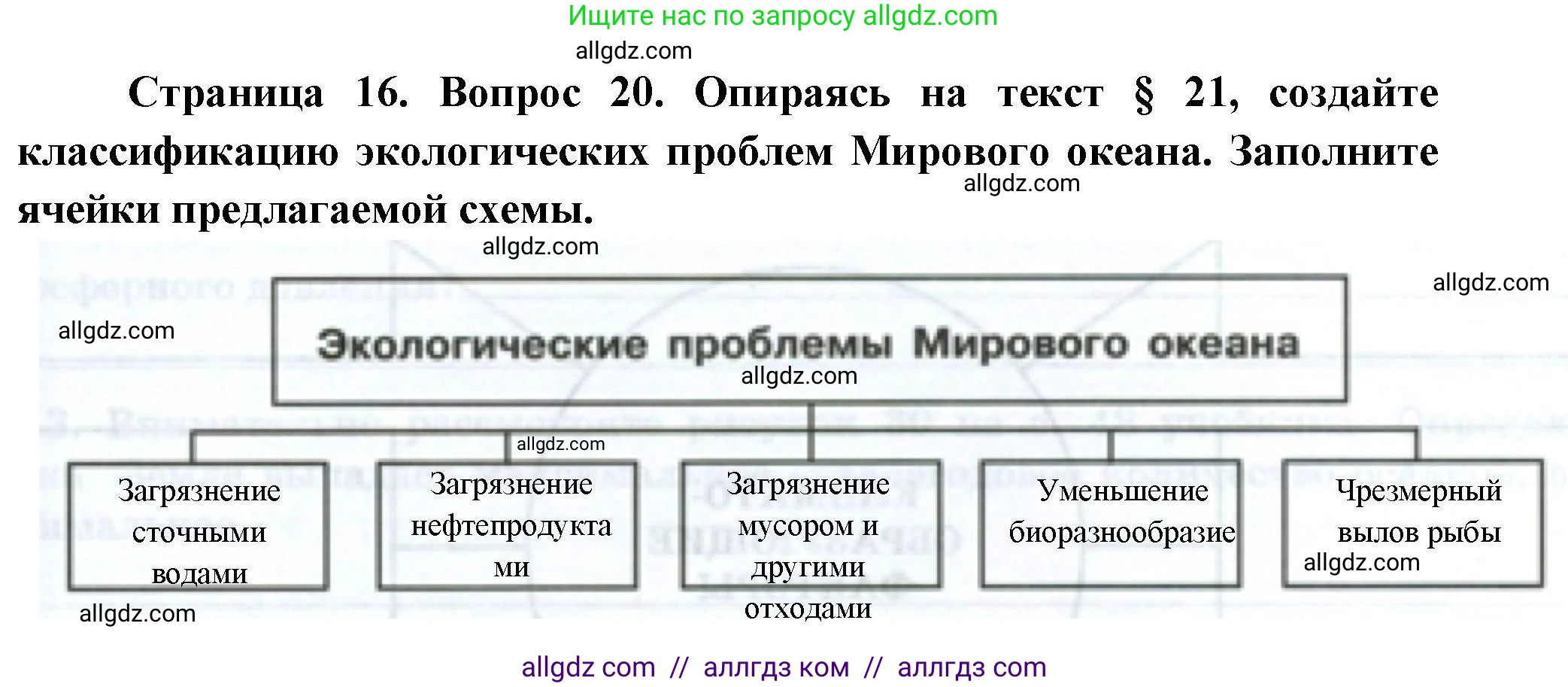 География, 7 класс Мой тренажёр, автор: Николина Вера Викторовна, издательство Просвещение, Москва, 2023, жёлтого цвета, страница 16, номер 20, Решение