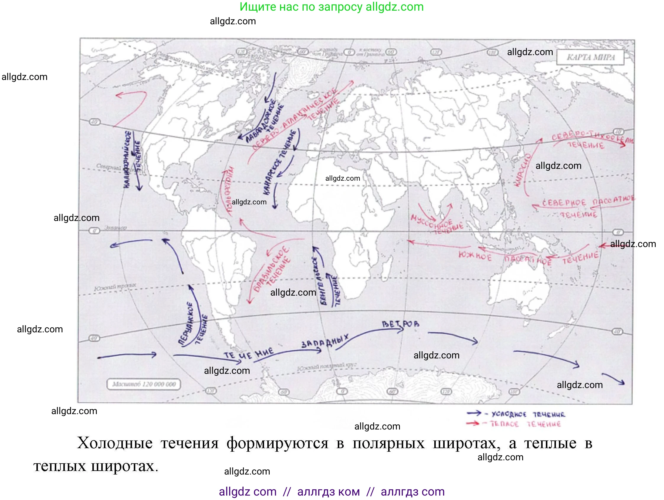 География, 7 класс Мой тренажёр, автор: Николина Вера Викторовна, издательство Просвещение, Москва, 2023, жёлтого цвета, страница 23, номер 10, Решение