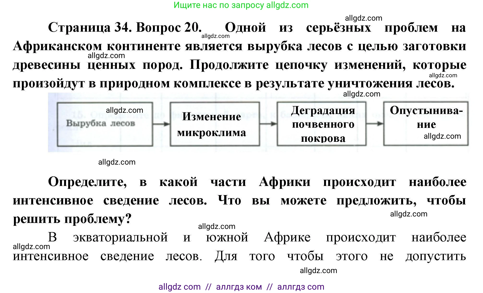 География, 7 класс Мой тренажёр, автор: Николина Вера Викторовна, издательство Просвещение, Москва, 2023, жёлтого цвета, страница 34, номер 20, Решение