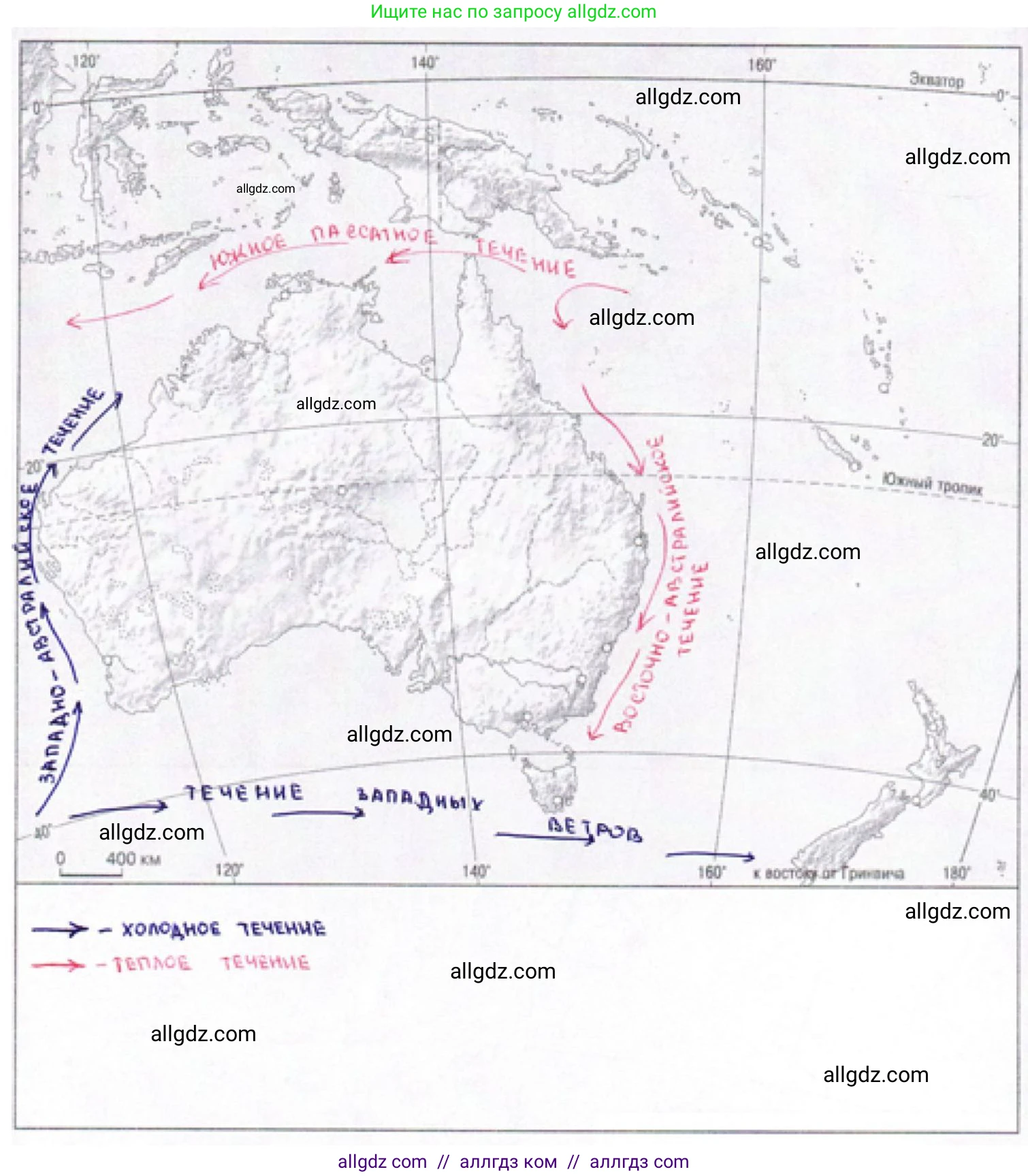 География, 7 класс Мой тренажёр, автор: Николина Вера Викторовна, издательство Просвещение, Москва, 2023, жёлтого цвета, страница 40, номер 8, Решение