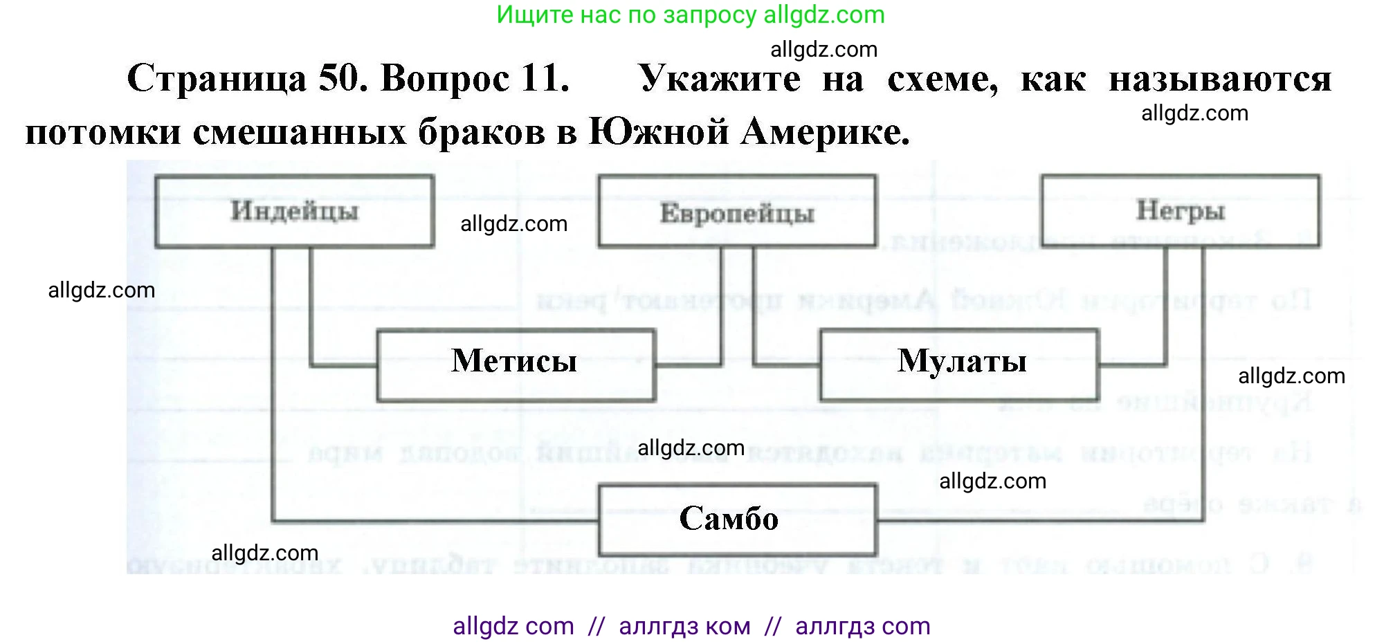 География, 7 класс Мой тренажёр, автор: Николина Вера Викторовна, издательство Просвещение, Москва, 2023, жёлтого цвета, страница 50, номер 11, Решение