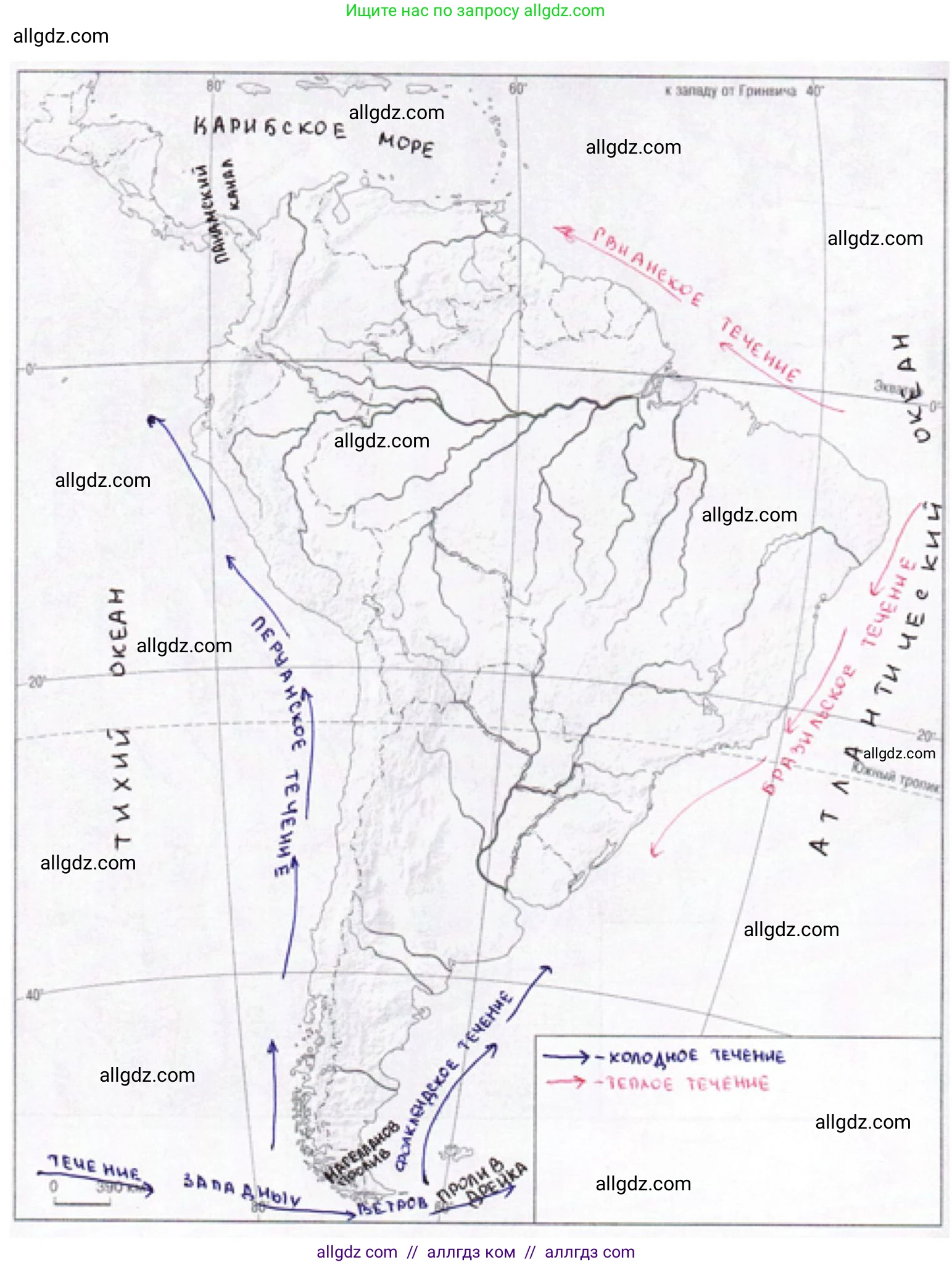 География, 7 класс Мой тренажёр, автор: Николина Вера Викторовна, издательство Просвещение, Москва, 2023, жёлтого цвета, страница 50, номер 13, Решение