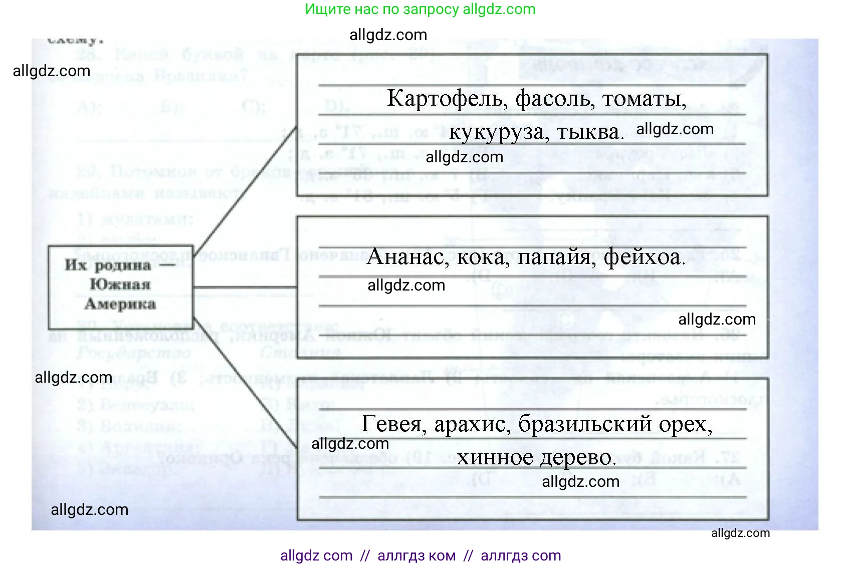 География, 7 класс Мой тренажёр, автор: Николина Вера Викторовна, издательство Просвещение, Москва, 2023, жёлтого цвета, страница 53, номер 22, Решение