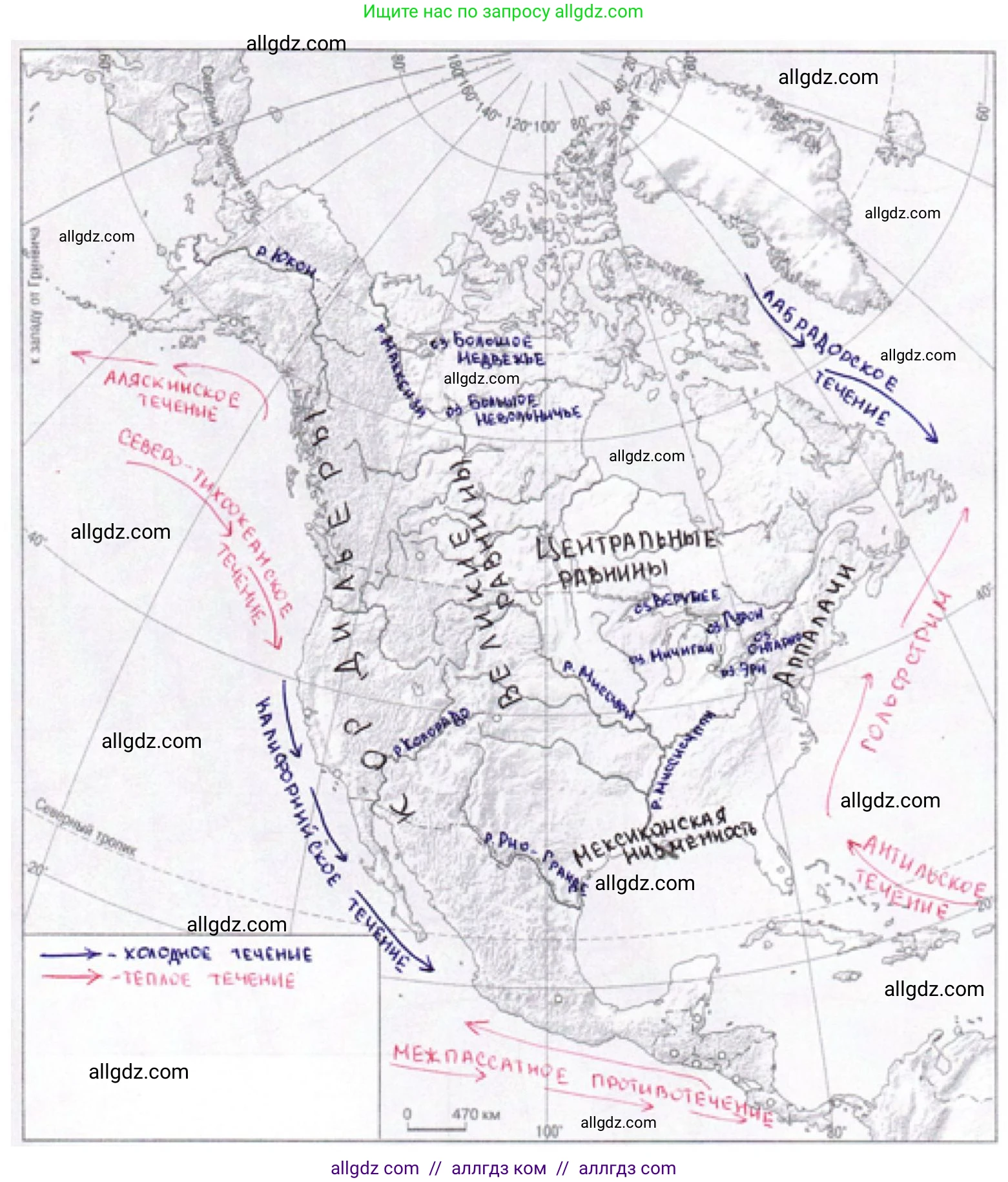 География, 7 класс Мой тренажёр, автор: Николина Вера Викторовна, издательство Просвещение, Москва, 2023, жёлтого цвета, страница 61, номер 12, Решение