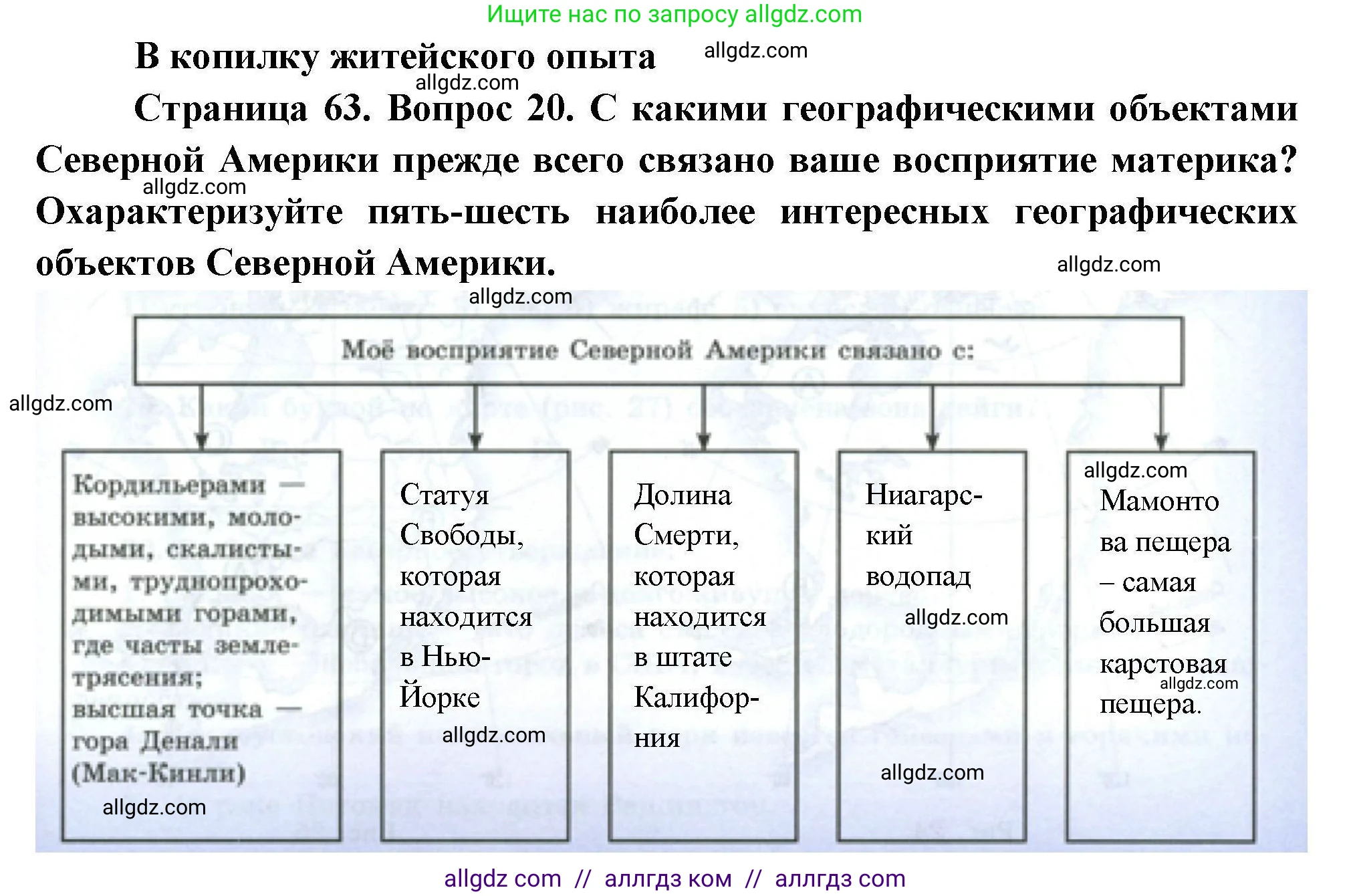 География, 7 класс Мой тренажёр, автор: Николина Вера Викторовна, издательство Просвещение, Москва, 2023, жёлтого цвета, страница 63, номер 20, Решение