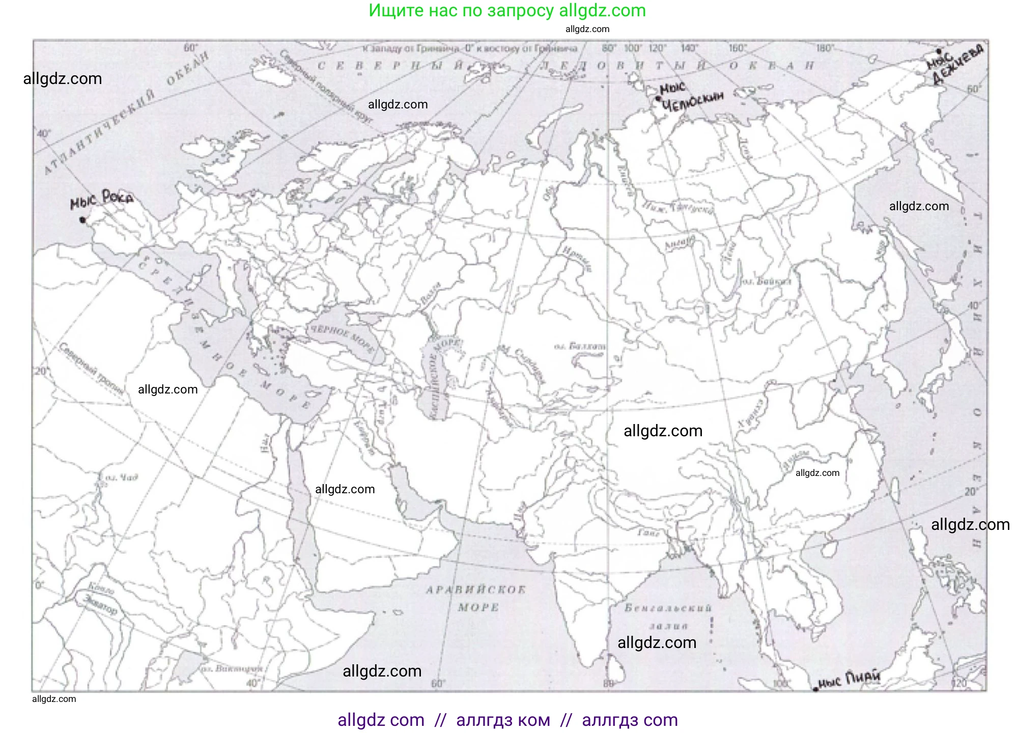 География, 7 класс Мой тренажёр, автор: Николина Вера Викторовна, издательство Просвещение, Москва, 2023, жёлтого цвета, страница 71, номер 15, Решение