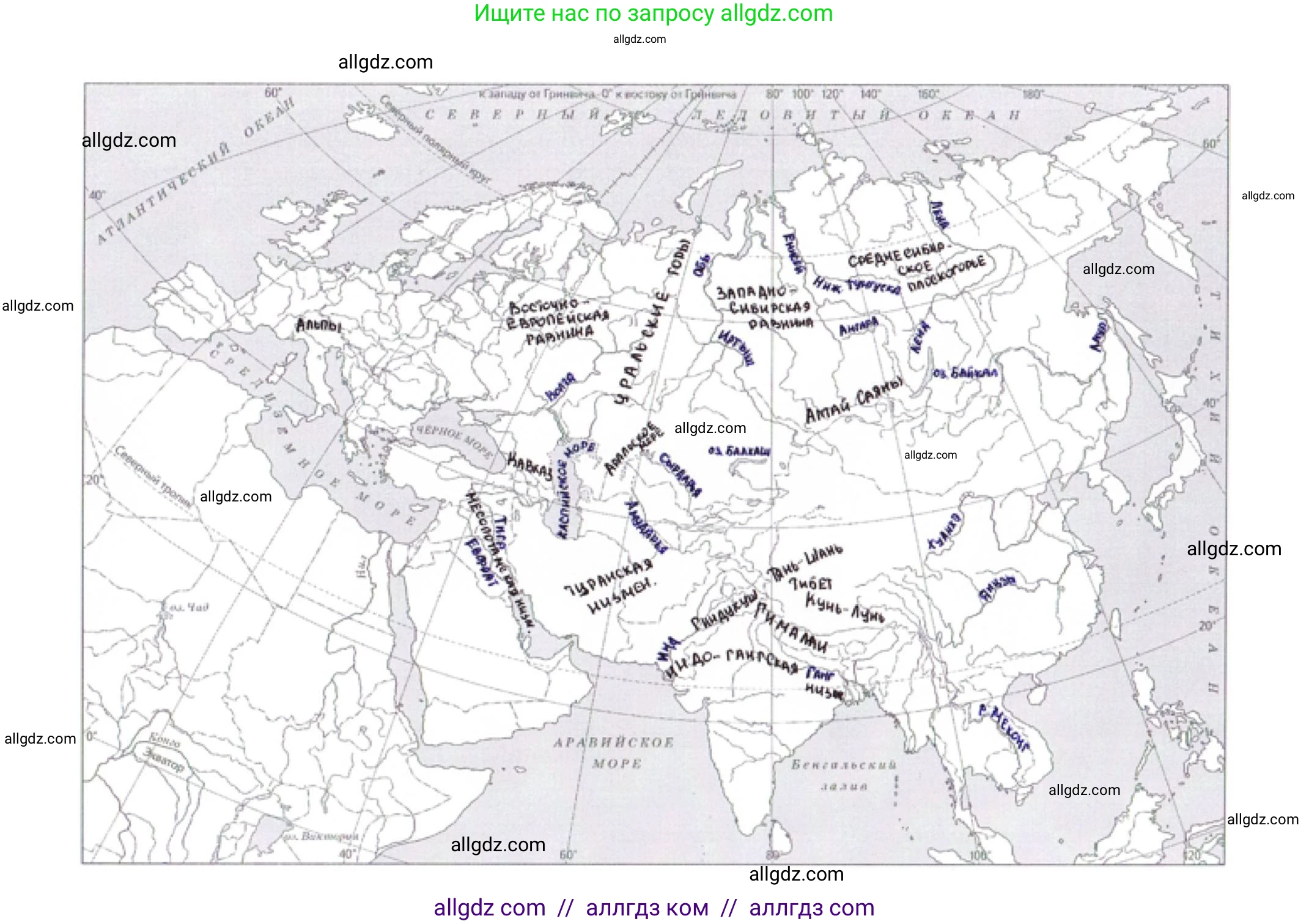 География, 7 класс Мой тренажёр, автор: Николина Вера Викторовна, издательство Просвещение, Москва, 2023, жёлтого цвета, страница 71, номер 19, Решение