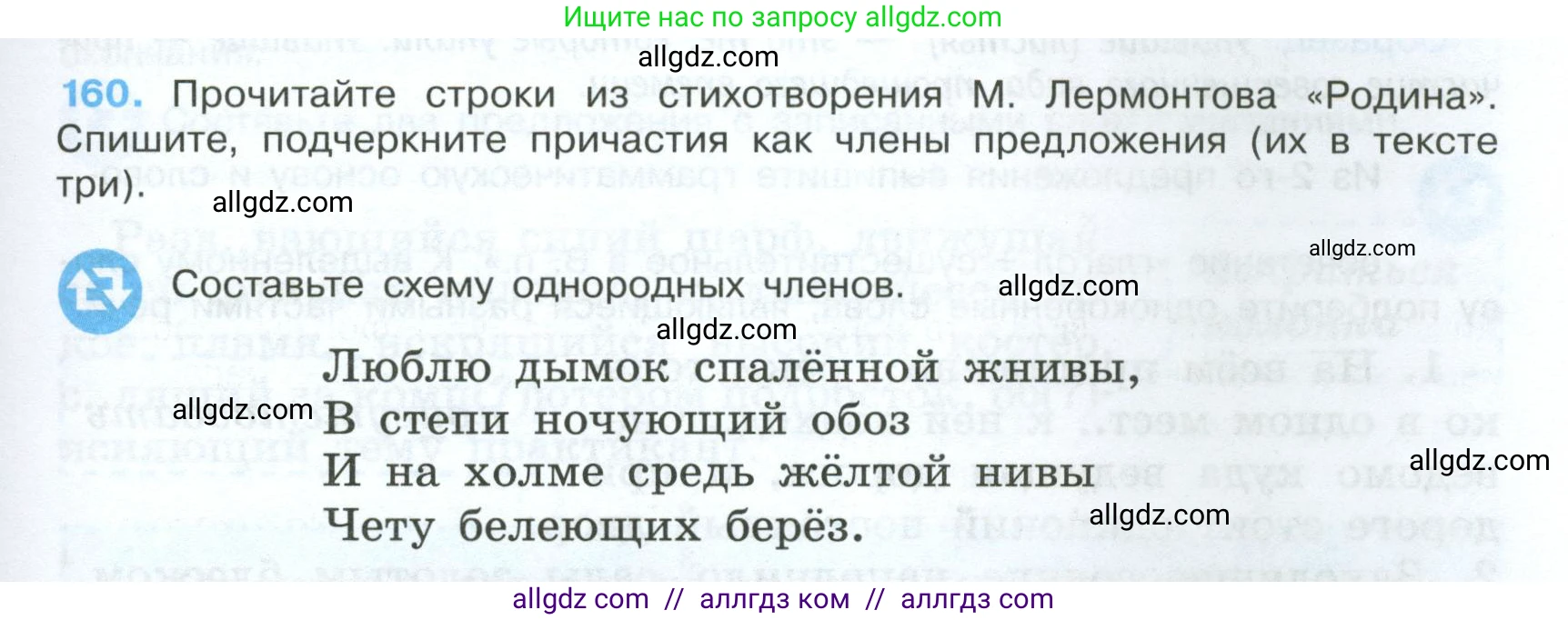 Русский язык, 7 класс Учебник, авторы: Баранов Михаил Трофимович, Ладыженская Таиса Алексеевна, Тростенцова Лидия Александровна, Ладыженская Наталия Вениаминовна, Александрова Ольга Макаровна, Дейкина Алевтина Дмитриевна, Антонова Любовь Геннадиевна, Григорян Лариса Трофимовна, Кулибаба Иван Иванович, издательство Просвещение, Москва, 2023, зелёного цвета, Часть 1, страница 91, номер 160, Условие 2024-2027