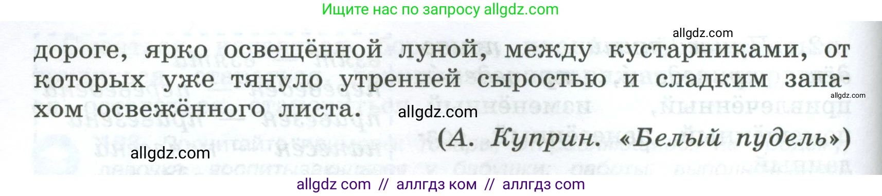 Русский язык, 7 класс Учебник, авторы: Баранов Михаил Трофимович, Ладыженская Таиса Алексеевна, Тростенцова Лидия Александровна, Ладыженская Наталия Вениаминовна, Александрова Ольга Макаровна, Дейкина Алевтина Дмитриевна, Антонова Любовь Геннадиевна, Григорян Лариса Трофимовна, Кулибаба Иван Иванович, издательство Просвещение, Москва, 2023, зелёного цвета, Часть 1, страница 107, номер 187, Условие 2024-2027 (продолжение 2)