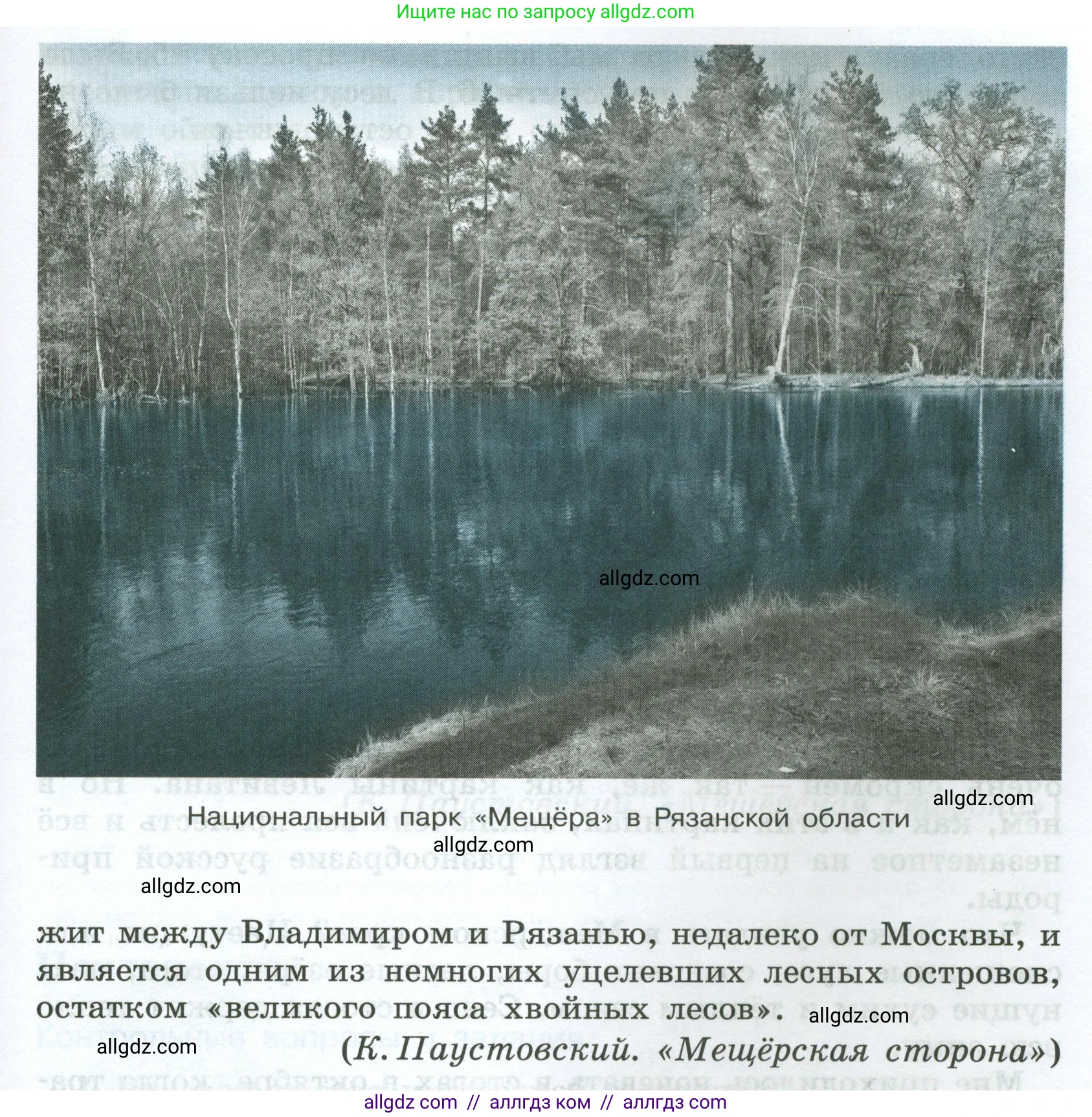 Русский язык, 7 класс Учебник, авторы: Баранов Михаил Трофимович, Ладыженская Таиса Алексеевна, Тростенцова Лидия Александровна, Ладыженская Наталия Вениаминовна, Александрова Ольга Макаровна, Дейкина Алевтина Дмитриевна, Антонова Любовь Геннадиевна, Григорян Лариса Трофимовна, Кулибаба Иван Иванович, издательство Просвещение, Москва, 2023, зелёного цвета, Часть 2, страница 12, номер 401, Условие 2024-2027 (продолжение 2)
