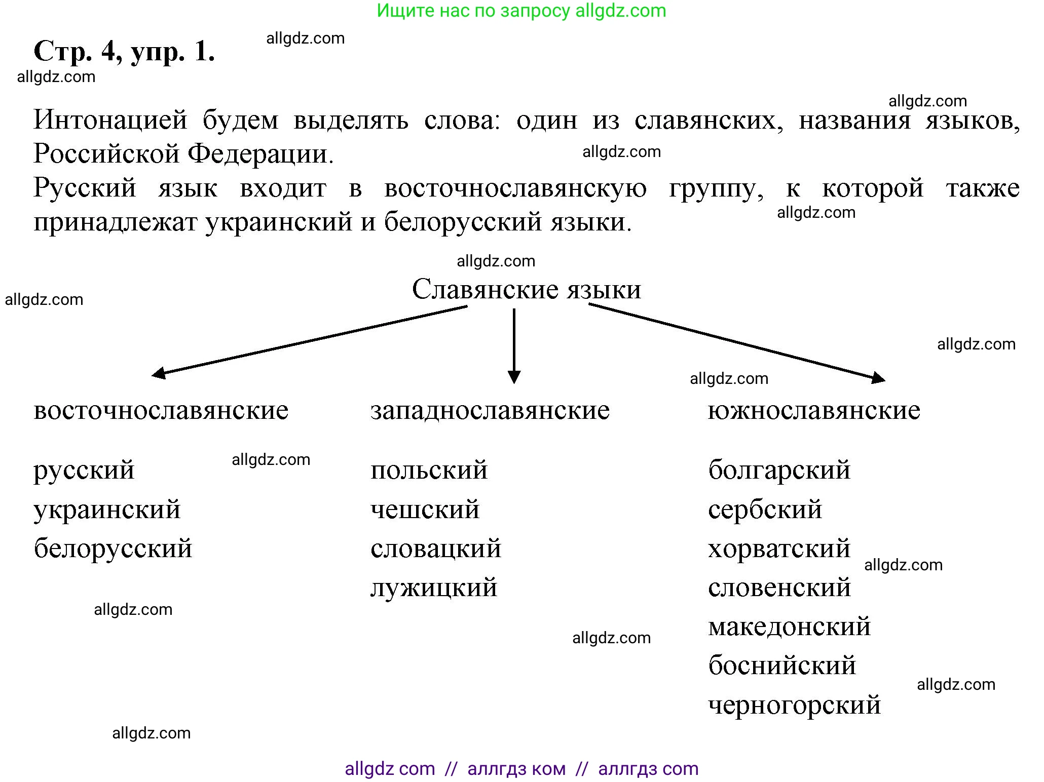 Русский язык, 7 класс Учебник, авторы: Баранов Михаил Трофимович, Ладыженская Таиса Алексеевна, Тростенцова Лидия Александровна, Ладыженская Наталия Вениаминовна, Александрова Ольга Макаровна, Дейкина Алевтина Дмитриевна, Антонова Любовь Геннадиевна, Григорян Лариса Трофимовна, Кулибаба Иван Иванович, издательство Просвещение, Москва, 2023, зелёного цвета, Часть 1, страница 4, номер 1, Решение 1 (2024-2027)