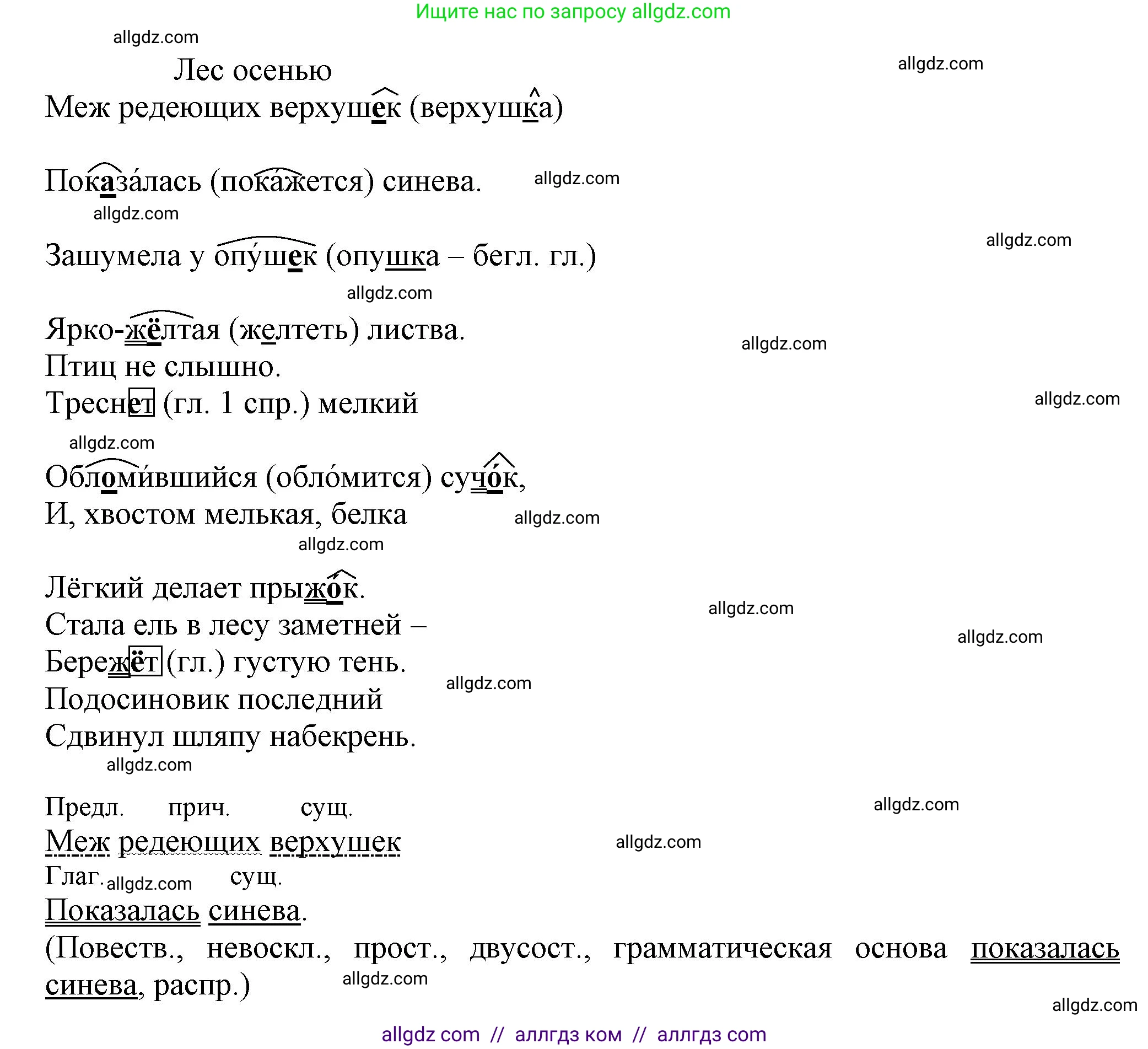 Русский язык, 7 класс Учебник, авторы: Баранов Михаил Трофимович, Ладыженская Таиса Алексеевна, Тростенцова Лидия Александровна, Ладыженская Наталия Вениаминовна, Александрова Ольга Макаровна, Дейкина Алевтина Дмитриевна, Антонова Любовь Геннадиевна, Григорян Лариса Трофимовна, Кулибаба Иван Иванович, издательство Просвещение, Москва, 2023, зелёного цвета, Часть 1, страница 10, номер 13, Решение 1 (2024-2027) (продолжение 2)
