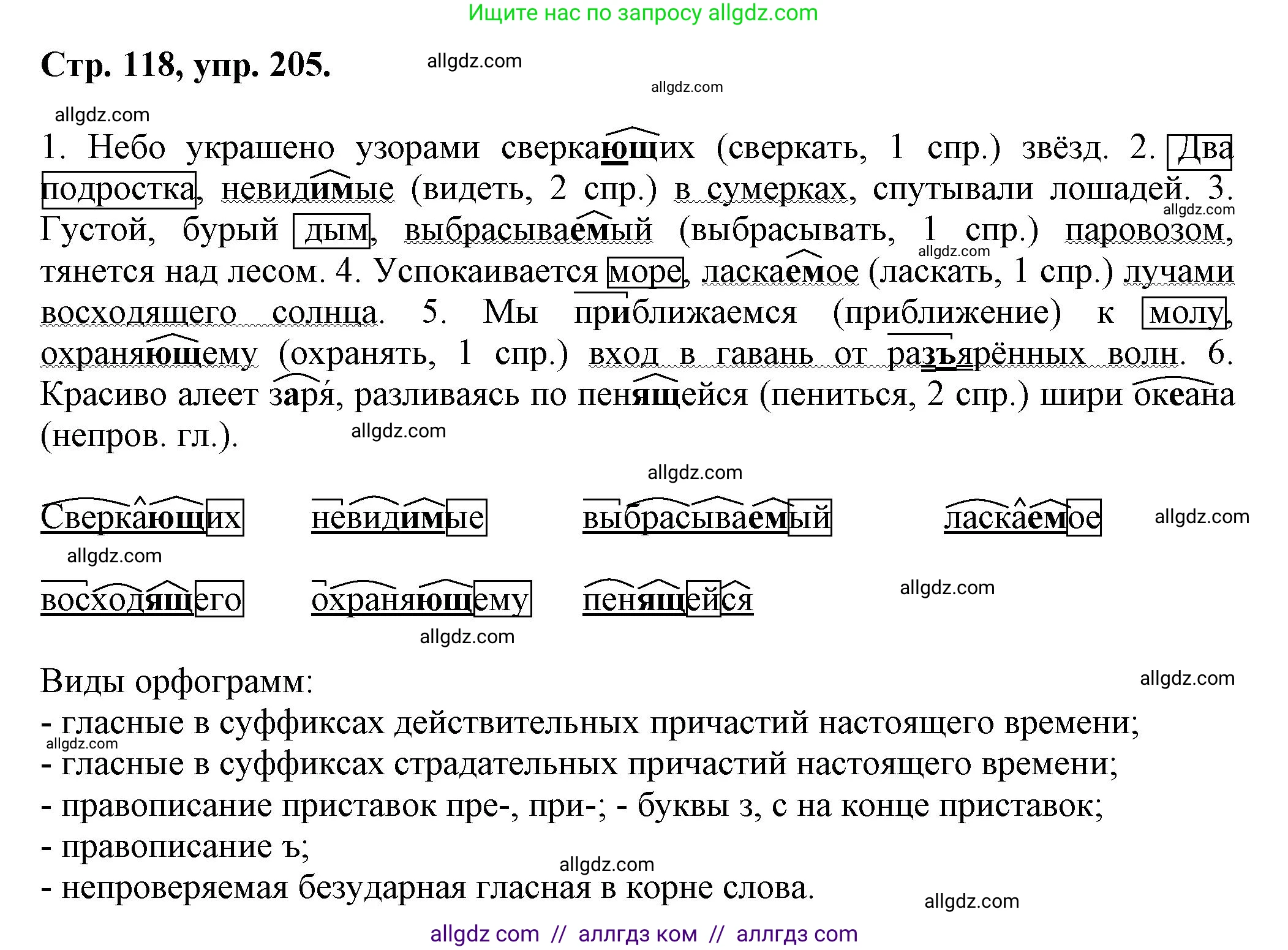 Русский язык, 7 класс Учебник, авторы: Баранов Михаил Трофимович, Ладыженская Таиса Алексеевна, Тростенцова Лидия Александровна, Ладыженская Наталия Вениаминовна, Александрова Ольга Макаровна, Дейкина Алевтина Дмитриевна, Антонова Любовь Геннадиевна, Григорян Лариса Трофимовна, Кулибаба Иван Иванович, издательство Просвещение, Москва, 2023, зелёного цвета, Часть 1, страница 118, номер 205, Решение 1 (2024-2027)