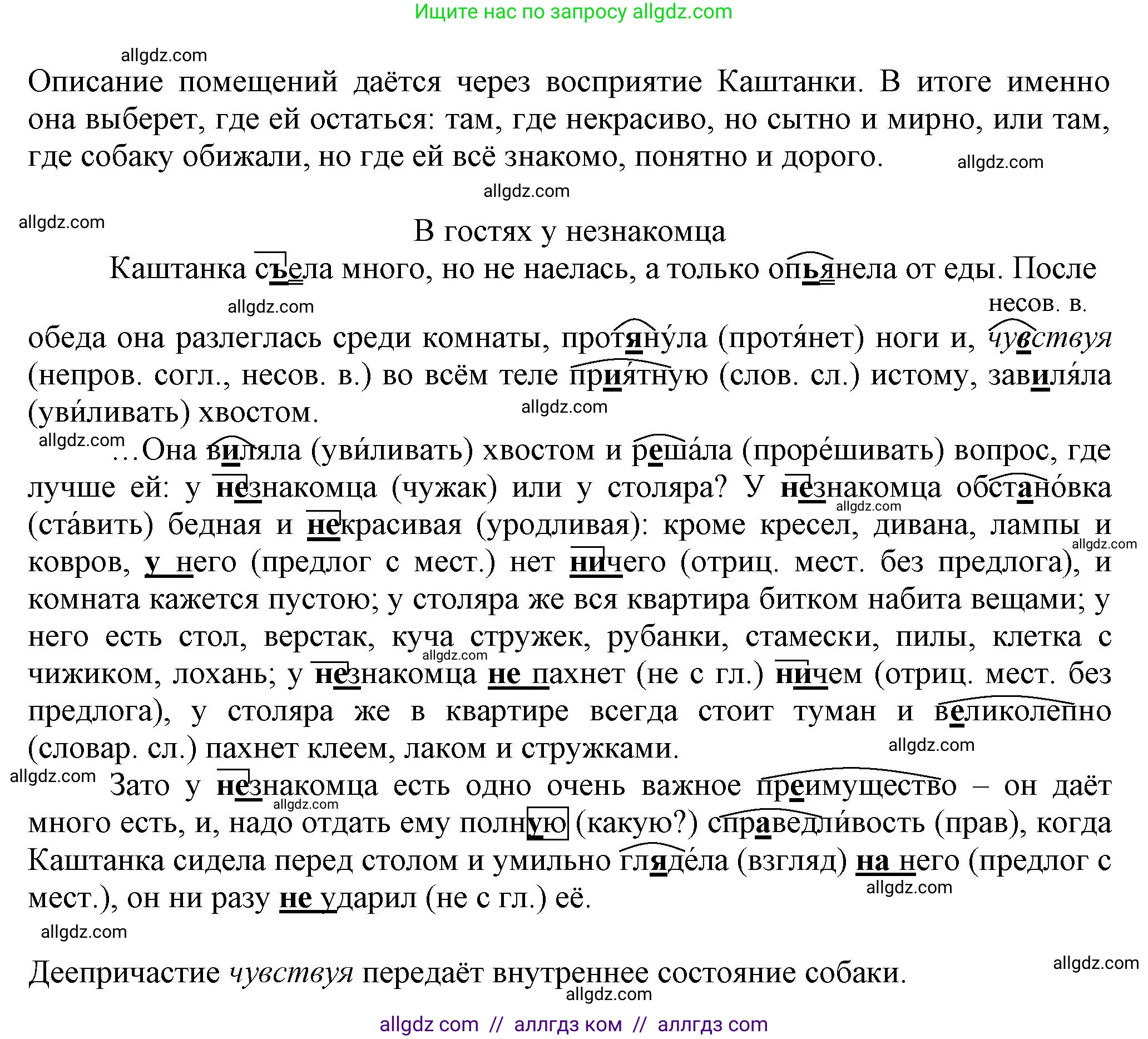 Русский язык, 7 класс Учебник, авторы: Баранов Михаил Трофимович, Ладыженская Таиса Алексеевна, Тростенцова Лидия Александровна, Ладыженская Наталия Вениаминовна, Александрова Ольга Макаровна, Дейкина Алевтина Дмитриевна, Антонова Любовь Геннадиевна, Григорян Лариса Трофимовна, Кулибаба Иван Иванович, издательство Просвещение, Москва, 2023, зелёного цвета, Часть 1, страница 175, номер 300, Решение 1 (2024-2027) (продолжение 2)