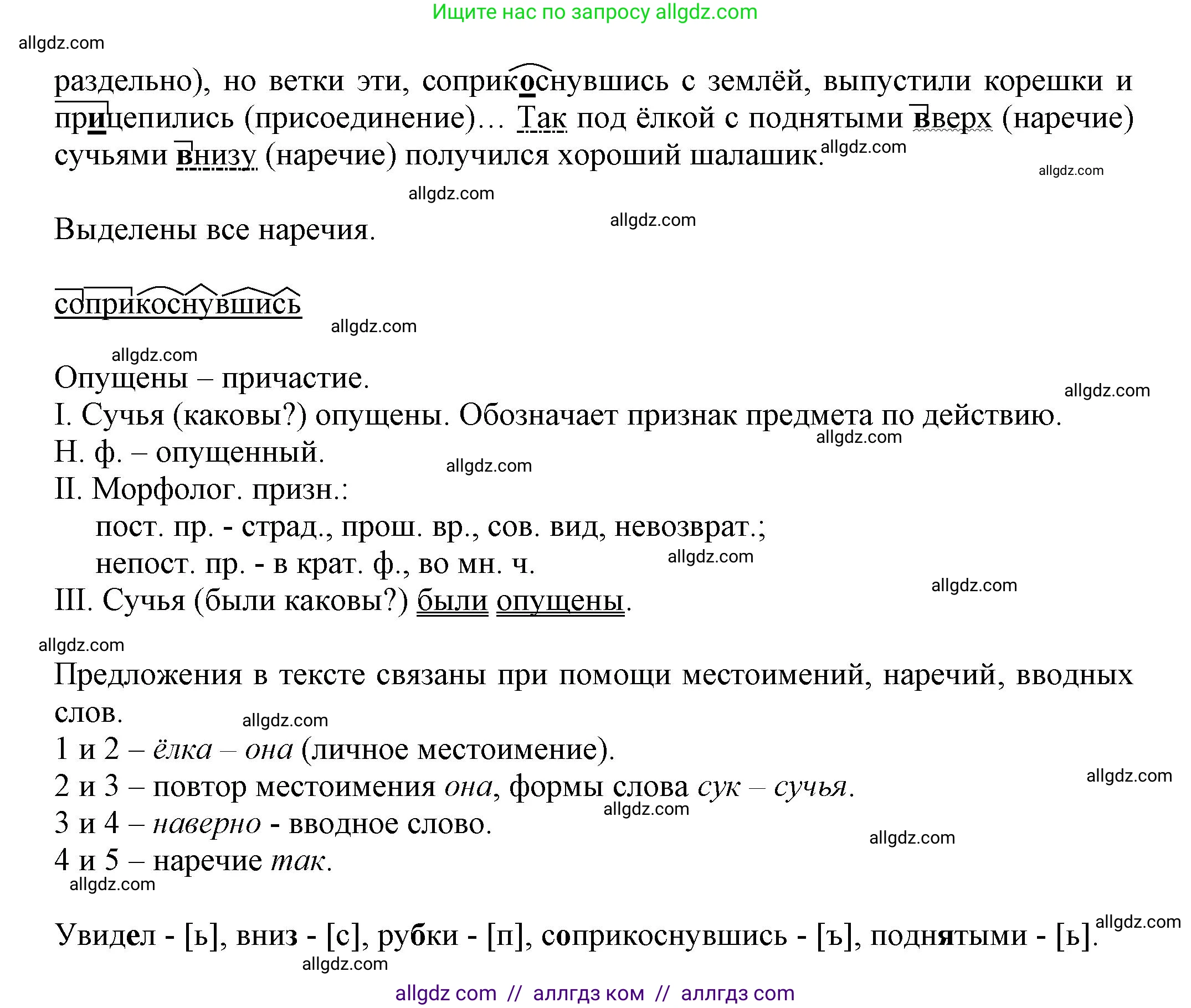 Русский язык, 7 класс Учебник, авторы: Баранов Михаил Трофимович, Ладыженская Таиса Алексеевна, Тростенцова Лидия Александровна, Ладыженская Наталия Вениаминовна, Александрова Ольга Макаровна, Дейкина Алевтина Дмитриевна, Антонова Любовь Геннадиевна, Григорян Лариса Трофимовна, Кулибаба Иван Иванович, издательство Просвещение, Москва, 2023, зелёного цвета, Часть 1, страница 218, номер 387, Решение 1 (2024-2027) (продолжение 2)