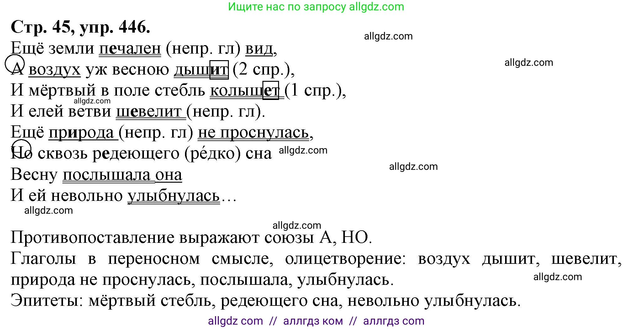 Русский язык, 7 класс Учебник, авторы: Баранов Михаил Трофимович, Ладыженская Таиса Алексеевна, Тростенцова Лидия Александровна, Ладыженская Наталия Вениаминовна, Александрова Ольга Макаровна, Дейкина Алевтина Дмитриевна, Антонова Любовь Геннадиевна, Григорян Лариса Трофимовна, Кулибаба Иван Иванович, издательство Просвещение, Москва, 2023, зелёного цвета, Часть 2, страница 45, номер 446, Решение 1 (2024-2027)