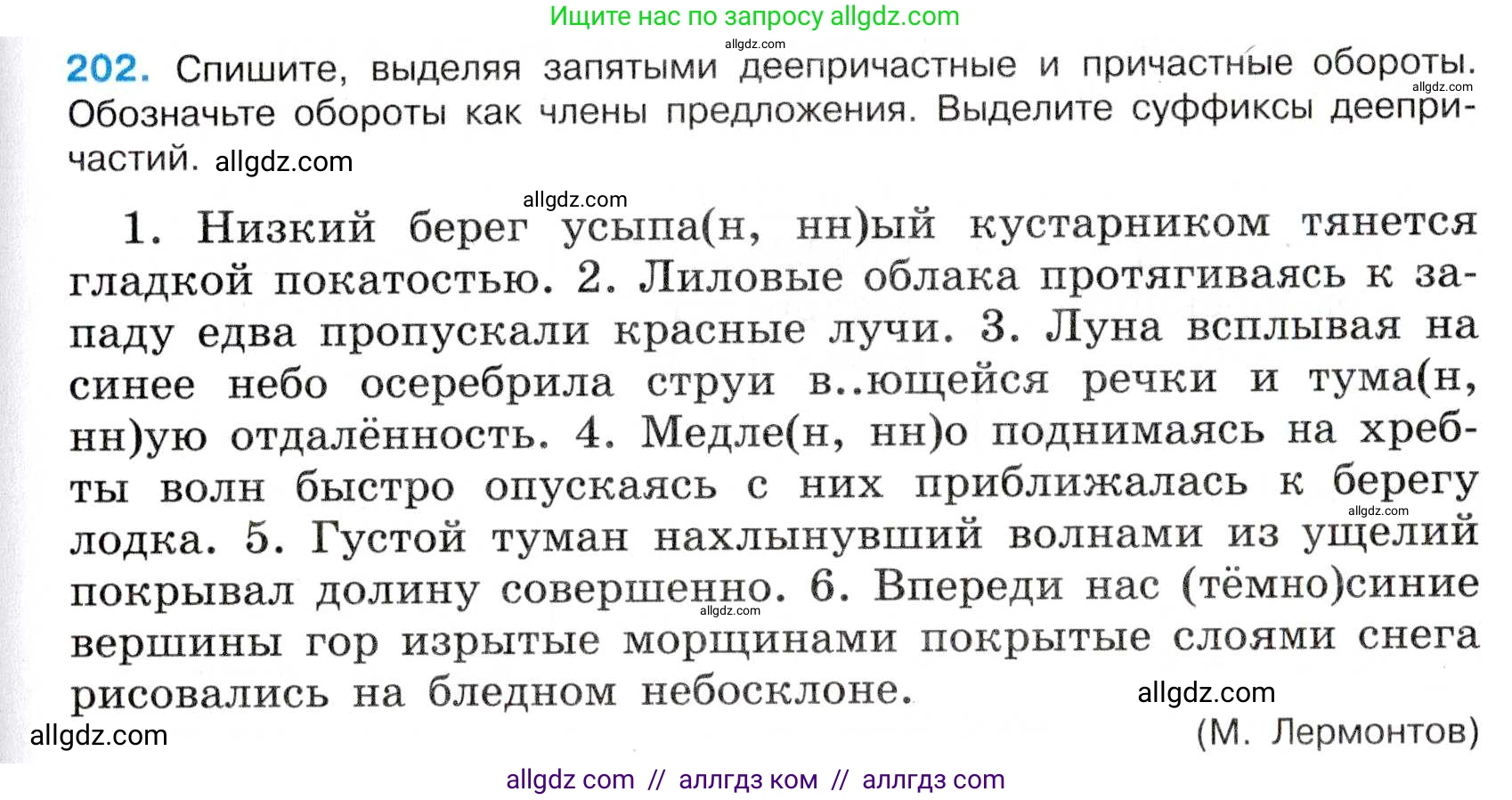 Русский язык, 7 класс Учебник, авторы: Баранов Михаил Трофимович, Ладыженская Таиса Алексеевна, Тростенцова Лидия Александровна, Ладыженская Наталия Вениаминовна, Александрова Ольга Макаровна, Дейкина Алевтина Дмитриевна, Антонова Любовь Геннадиевна, Григорян Лариса Трофимовна, Кулибаба Иван Иванович, издательство Просвещение, Москва, 2023, зелёного цвета, Часть 1, страница 117, номер 202, Условие 2019-2022