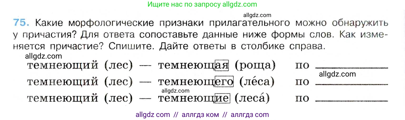 Русский язык, 7 класс Учебник, авторы: Баранов Михаил Трофимович, Ладыженская Таиса Алексеевна, Тростенцова Лидия Александровна, Ладыженская Наталия Вениаминовна, Александрова Ольга Макаровна, Дейкина Алевтина Дмитриевна, Антонова Любовь Геннадиевна, Григорян Лариса Трофимовна, Кулибаба Иван Иванович, издательство Просвещение, Москва, 2023, зелёного цвета, Часть 1, страница 41, номер 75, Условие 2019-2022