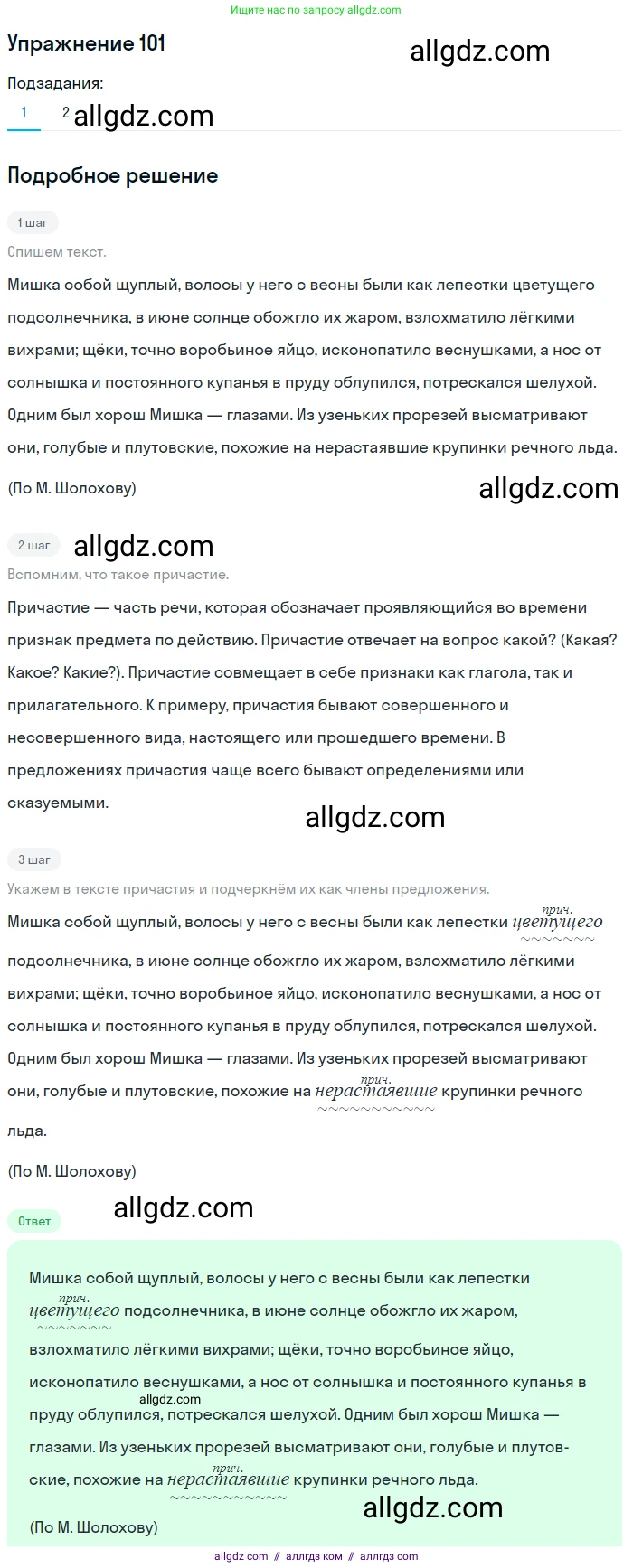 Русский язык, 7 класс Учебник, авторы: Баранов Михаил Трофимович, Ладыженская Таиса Алексеевна, Тростенцова Лидия Александровна, Ладыженская Наталия Вениаминовна, Александрова Ольга Макаровна, Дейкина Алевтина Дмитриевна, Антонова Любовь Геннадиевна, Григорян Лариса Трофимовна, Кулибаба Иван Иванович, издательство Просвещение, Москва, 2023, зелёного цвета, Часть 1, страница 63, номер 101, Решение 2019-2022