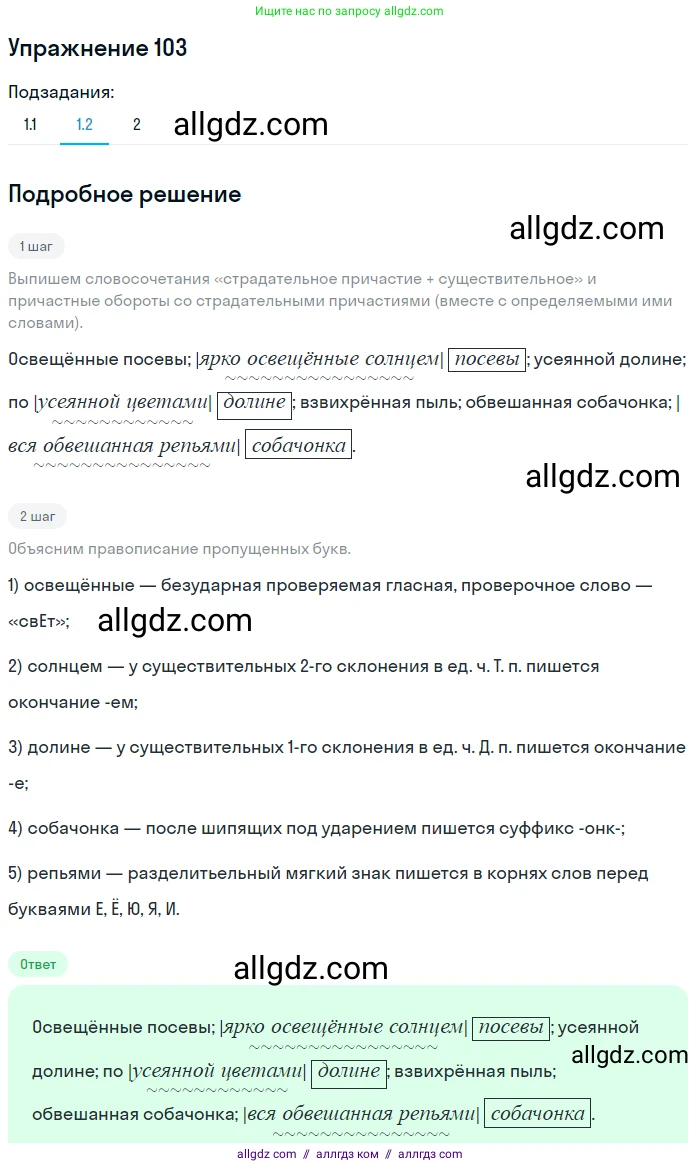 Русский язык, 7 класс Учебник, авторы: Баранов Михаил Трофимович, Ладыженская Таиса Алексеевна, Тростенцова Лидия Александровна, Ладыженская Наталия Вениаминовна, Александрова Ольга Макаровна, Дейкина Алевтина Дмитриевна, Антонова Любовь Геннадиевна, Григорян Лариса Трофимовна, Кулибаба Иван Иванович, издательство Просвещение, Москва, 2023, зелёного цвета, Часть 1, страница 65, номер 103, Решение 2019-2022 (продолжение 2)