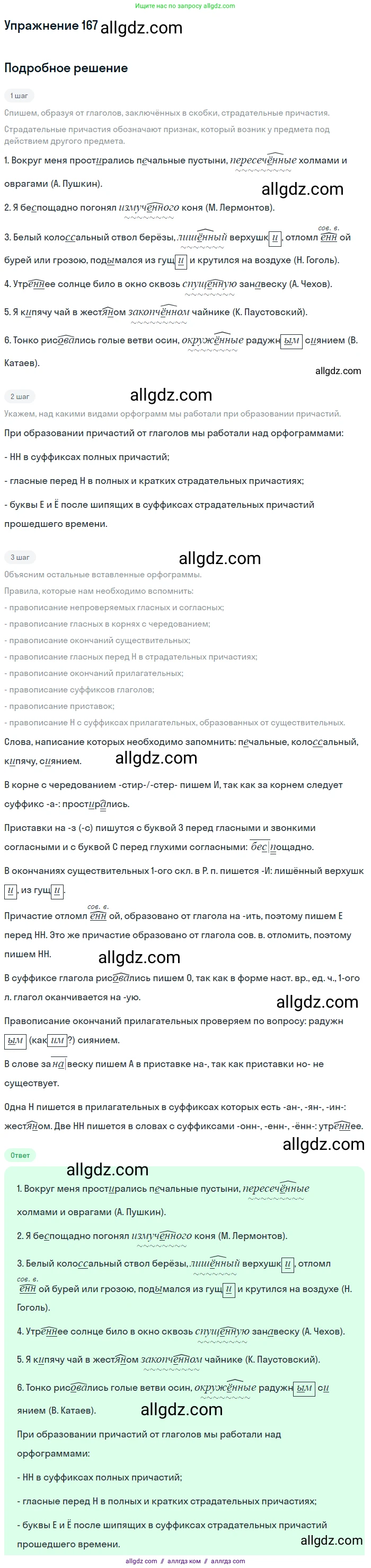 Русский язык, 7 класс Учебник, авторы: Баранов Михаил Трофимович, Ладыженская Таиса Алексеевна, Тростенцова Лидия Александровна, Ладыженская Наталия Вениаминовна, Александрова Ольга Макаровна, Дейкина Алевтина Дмитриевна, Антонова Любовь Геннадиевна, Григорян Лариса Трофимовна, Кулибаба Иван Иванович, издательство Просвещение, Москва, 2023, зелёного цвета, Часть 1, страница 95, номер 167, Решение 2019-2022
