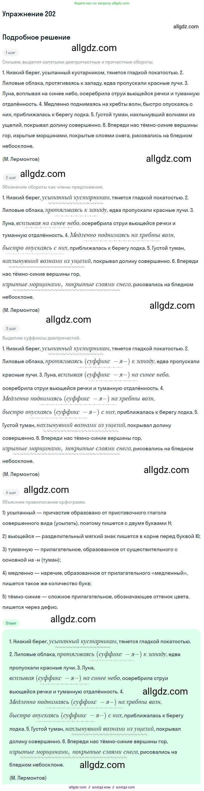 Русский язык, 7 класс Учебник, авторы: Баранов Михаил Трофимович, Ладыженская Таиса Алексеевна, Тростенцова Лидия Александровна, Ладыженская Наталия Вениаминовна, Александрова Ольга Макаровна, Дейкина Алевтина Дмитриевна, Антонова Любовь Геннадиевна, Григорян Лариса Трофимовна, Кулибаба Иван Иванович, издательство Просвещение, Москва, 2023, зелёного цвета, Часть 1, страница 117, номер 202, Решение 2019-2022